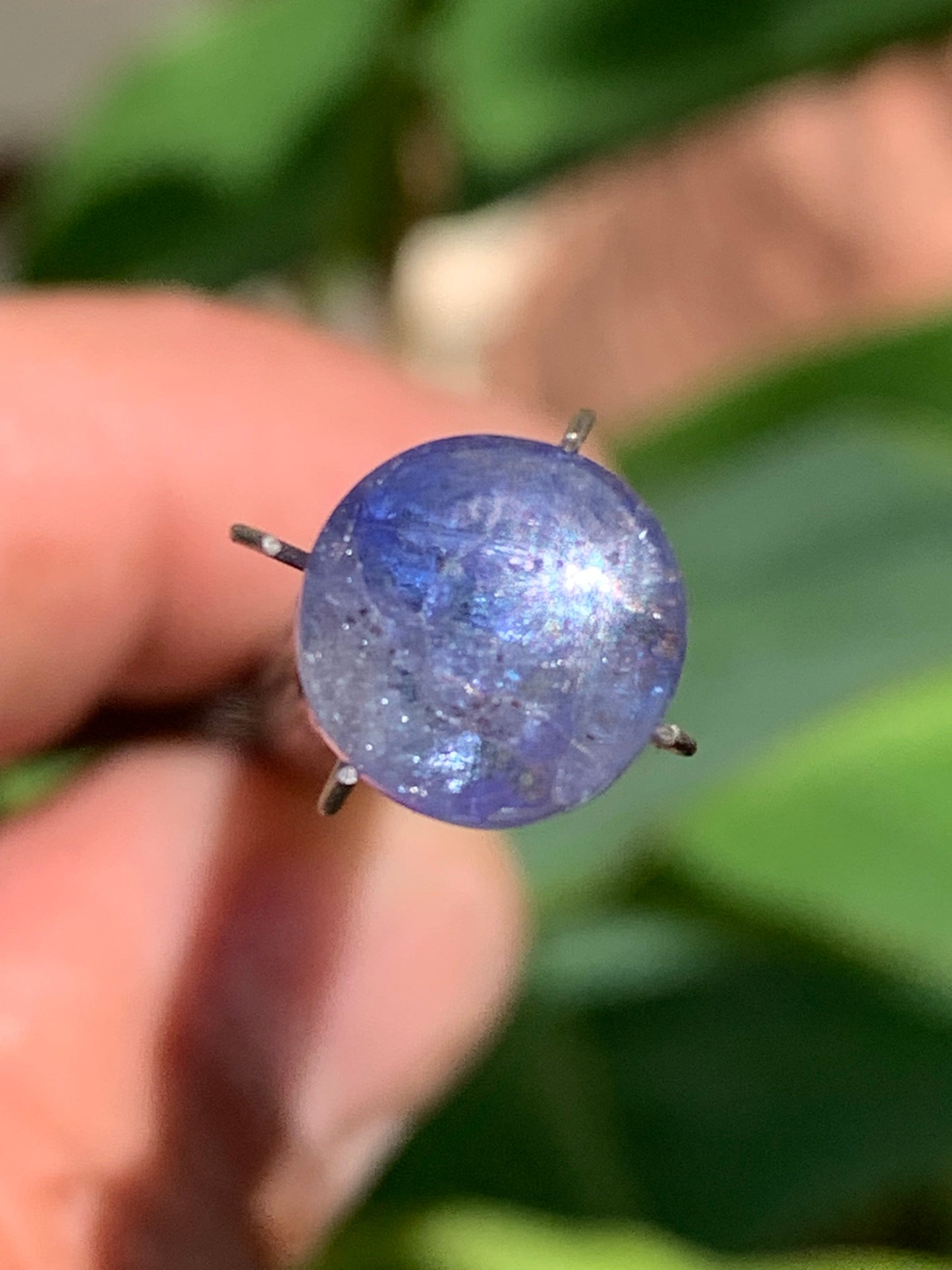 Cyanite disthène, cabochon de 10mm de diamètre x 5 - 4,5 carats. Parfait en bijouterie, collection, exposition...