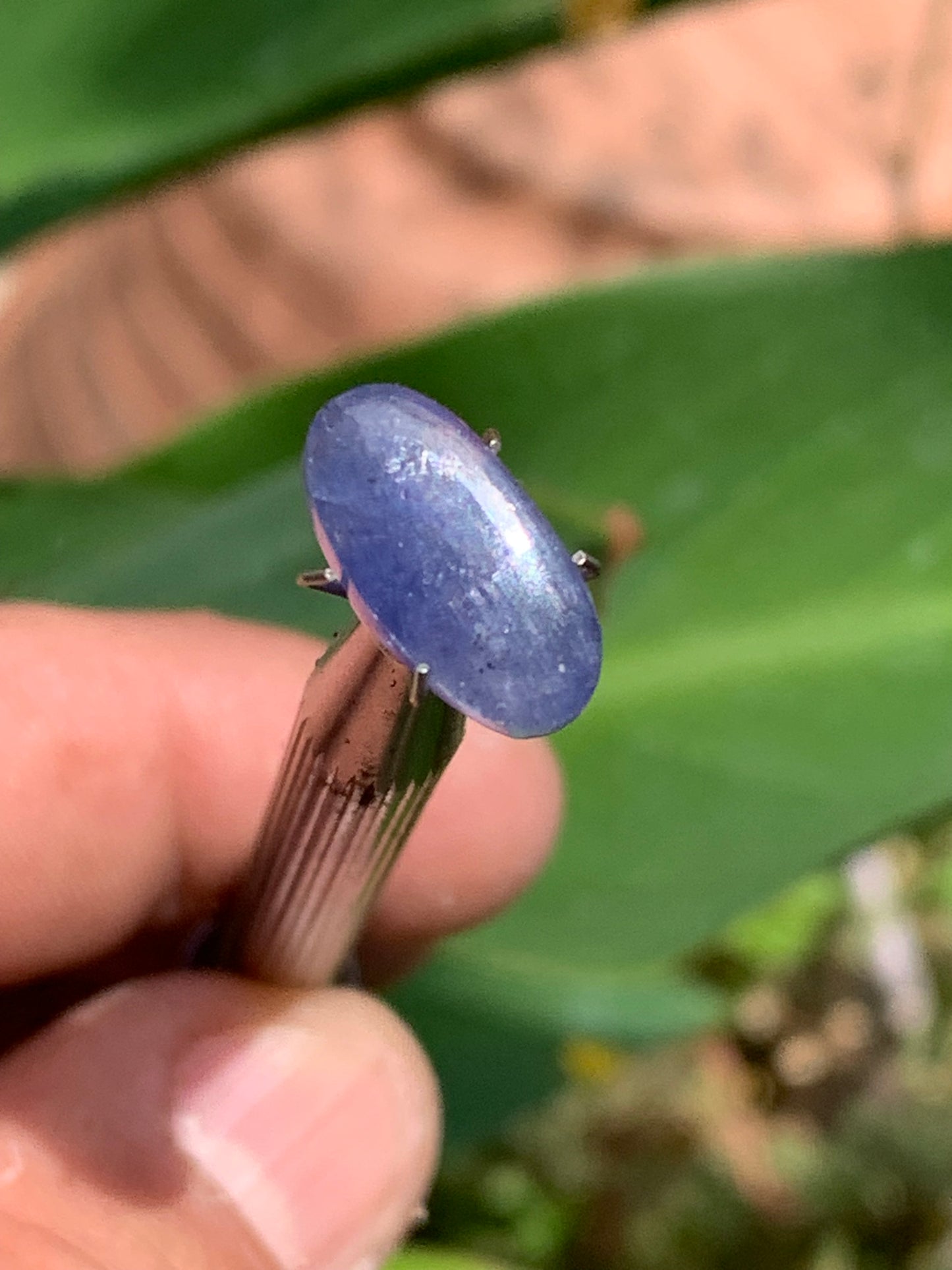 Cyanite disthène, cabochon de 15mm x 8 x 4 - 5 carats. Parfait en bijouterie, collection ,exposition...