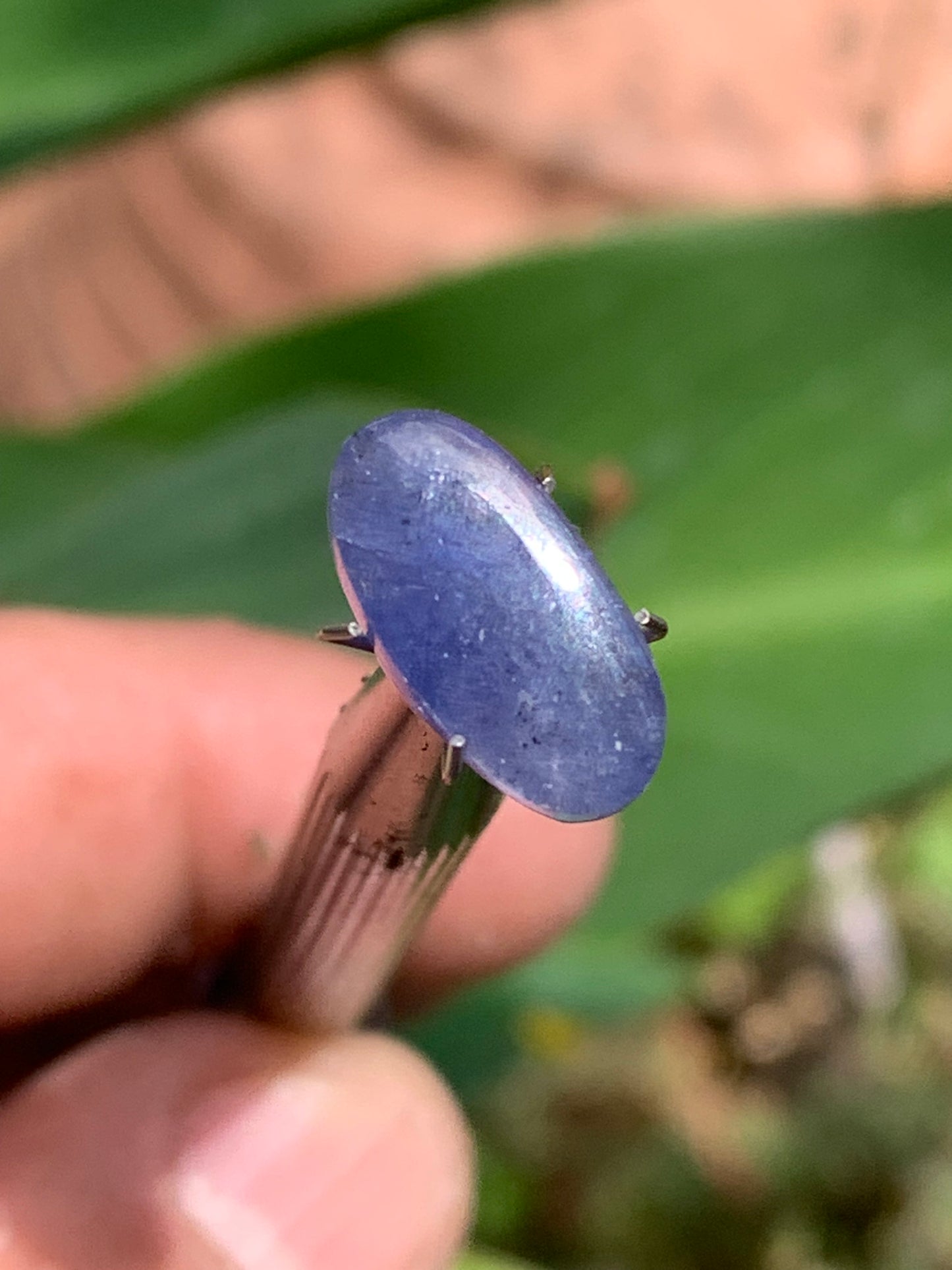 Cyanite disthène, cabochon de 15mm x 8 x 4 - 5 carats. Parfait en bijouterie, collection ,exposition...