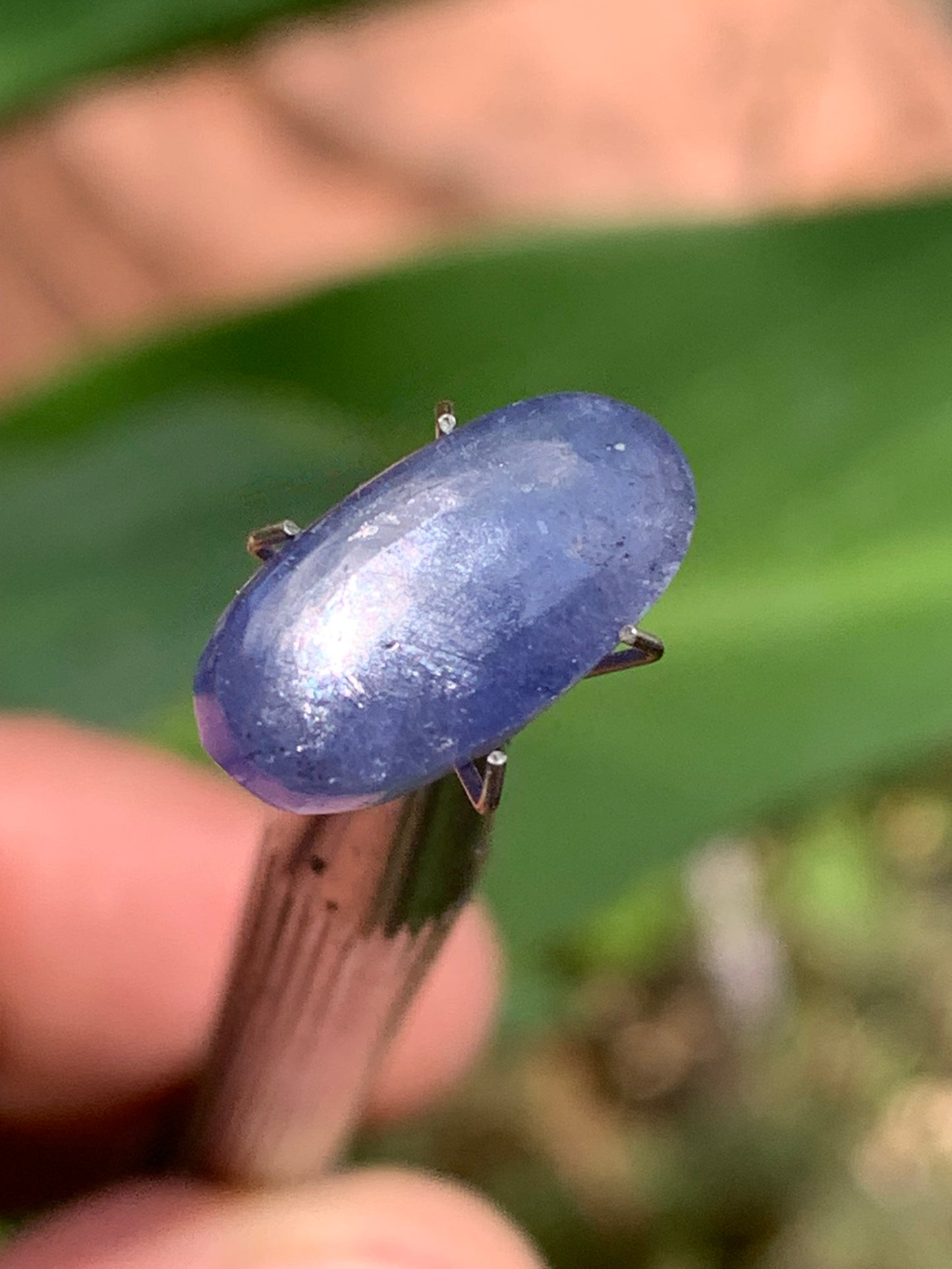 Cyanite disthène, cabochon de 15mm x 8 x 4 - 5 carats. Parfait en bijouterie, collection ,exposition...