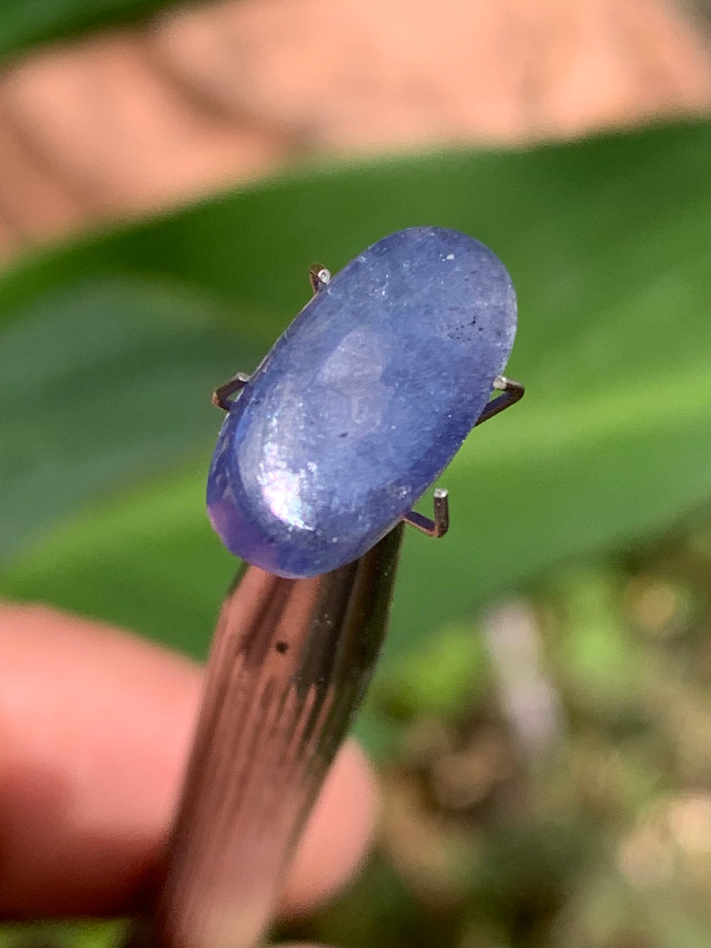 Cyanite disthène, cabochon de 15mm x 8 x 4 - 5 carats. Parfait en bijouterie, collection ,exposition...