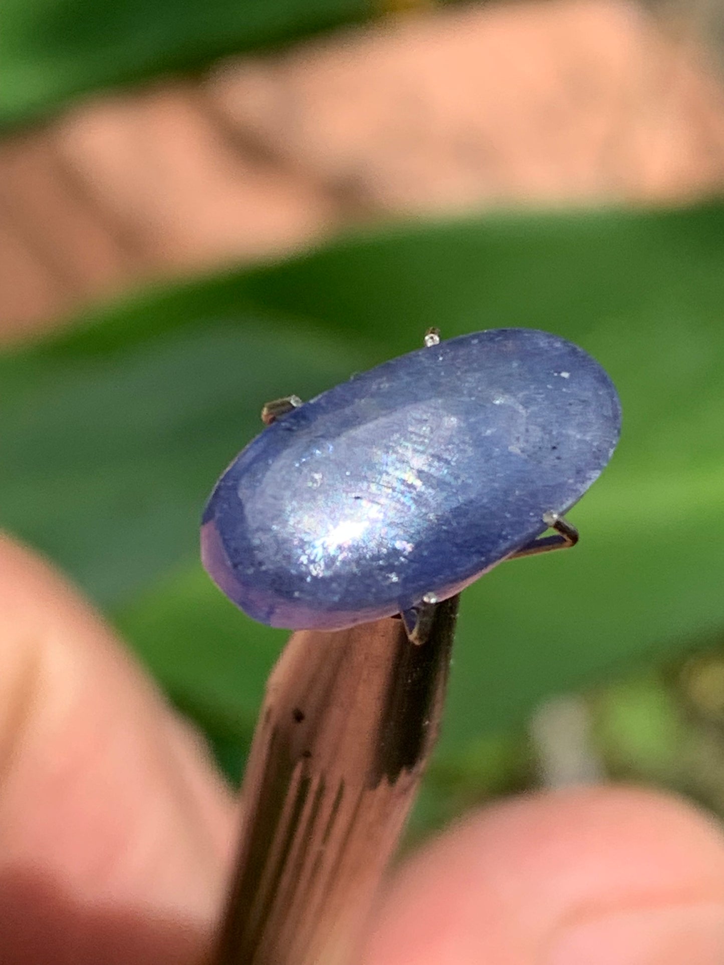 Cyanite disthène, cabochon de 15mm x 8 x 4 - 5 carats. Parfait en bijouterie, collection ,exposition...