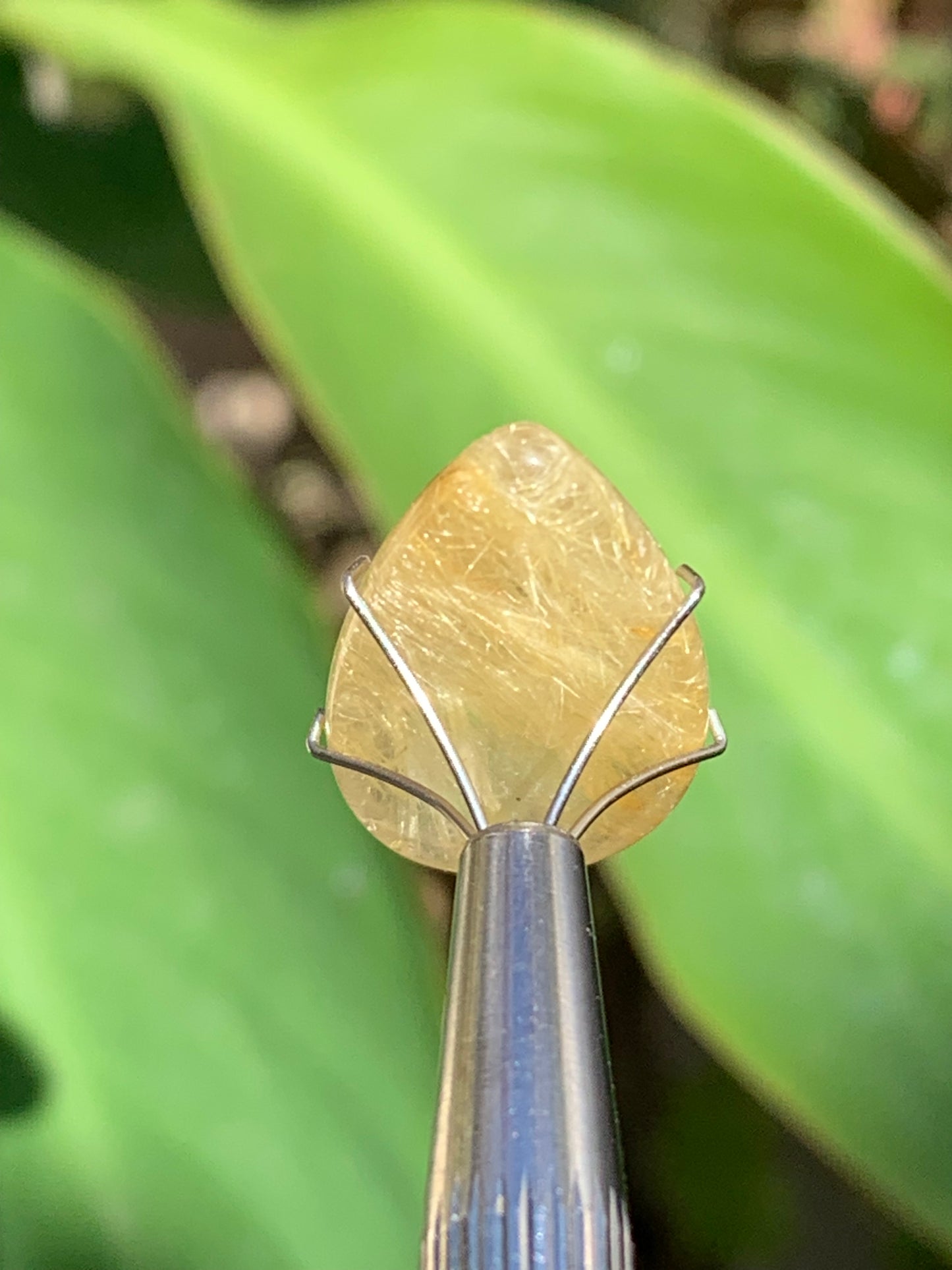 Cristal de roche/ quartz à rutiles dorés, cabochon de 25mm x15 x6 - 15,5 carats. Parfait en bijouterie, collection ,exposition...