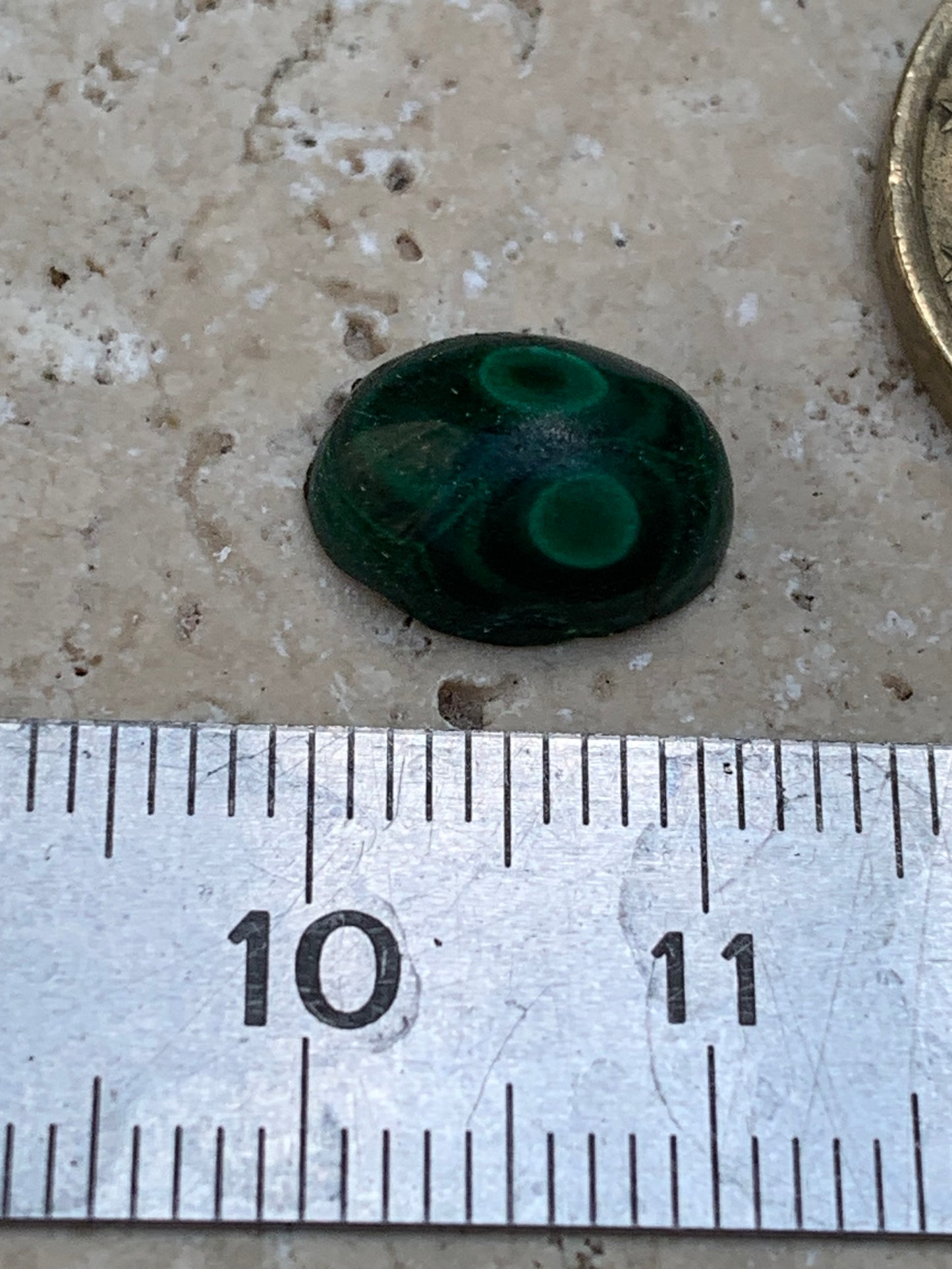 Malachite, cabochon de 12mm x9 x5 - 2,5 carats. Parfait en bijouterie, collection ,exposition...