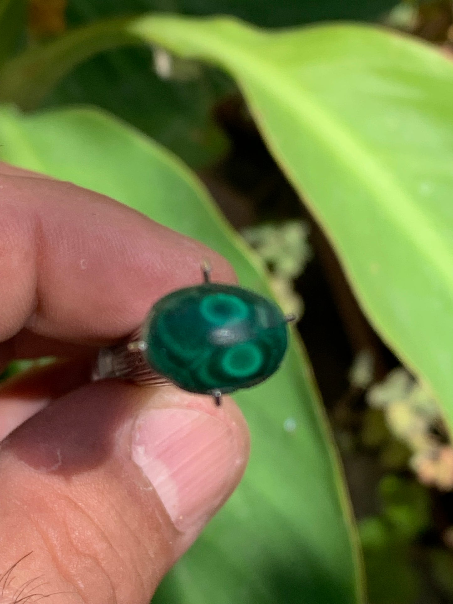 Malachite, cabochon de 12mm x9 x5 - 2,5 carats. Parfait en bijouterie, collection ,exposition...