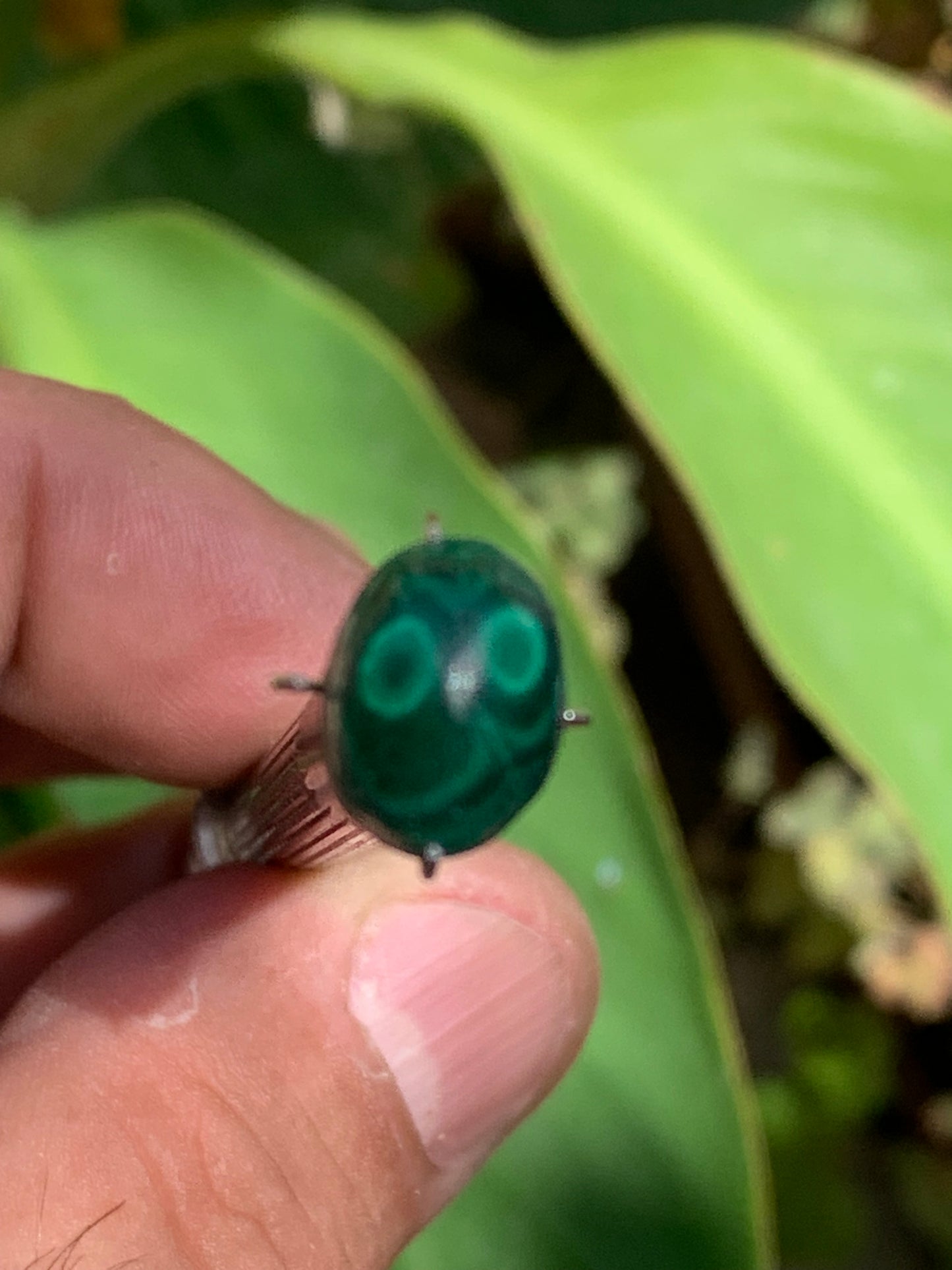 Malachite, cabochon de 12mm x9 x5 - 2,5 carats. Parfait en bijouterie, collection ,exposition...