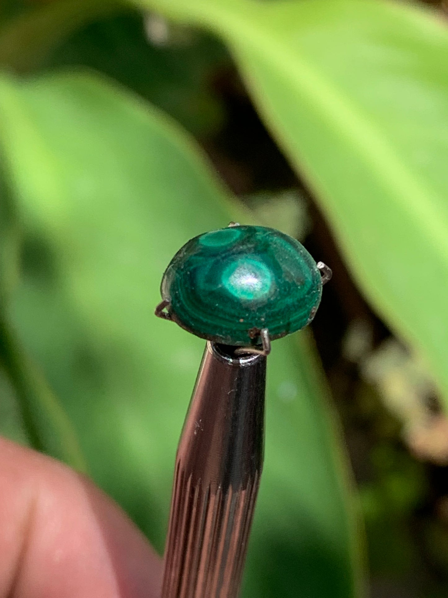 Malachite, cabochon de 12mm x9 x5 - 2,5 carats. Parfait en bijouterie, collection ,exposition...