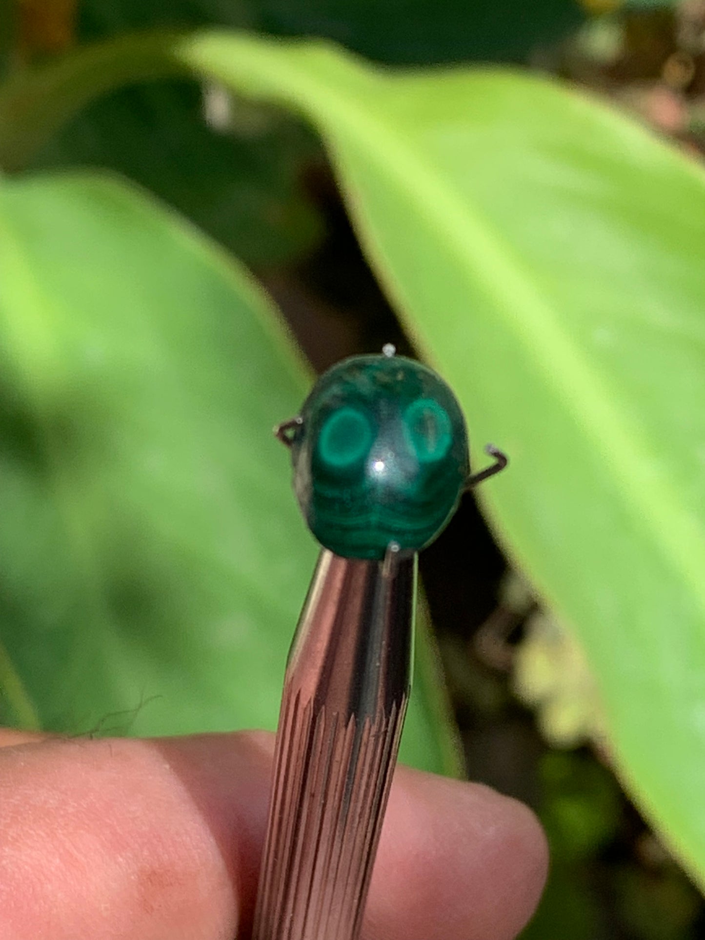 Malachite, cabochon de 12mm x9 x5 - 2,5 carats. Parfait en bijouterie, collection ,exposition...