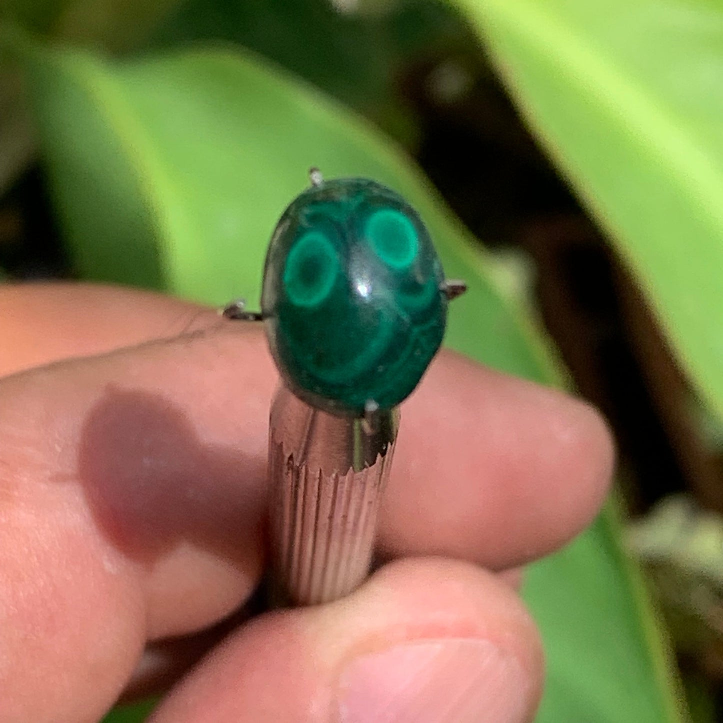 Malachite, cabochon de 12mm x9 x5 - 2,5 carats. Parfait en bijouterie, collection ,exposition...