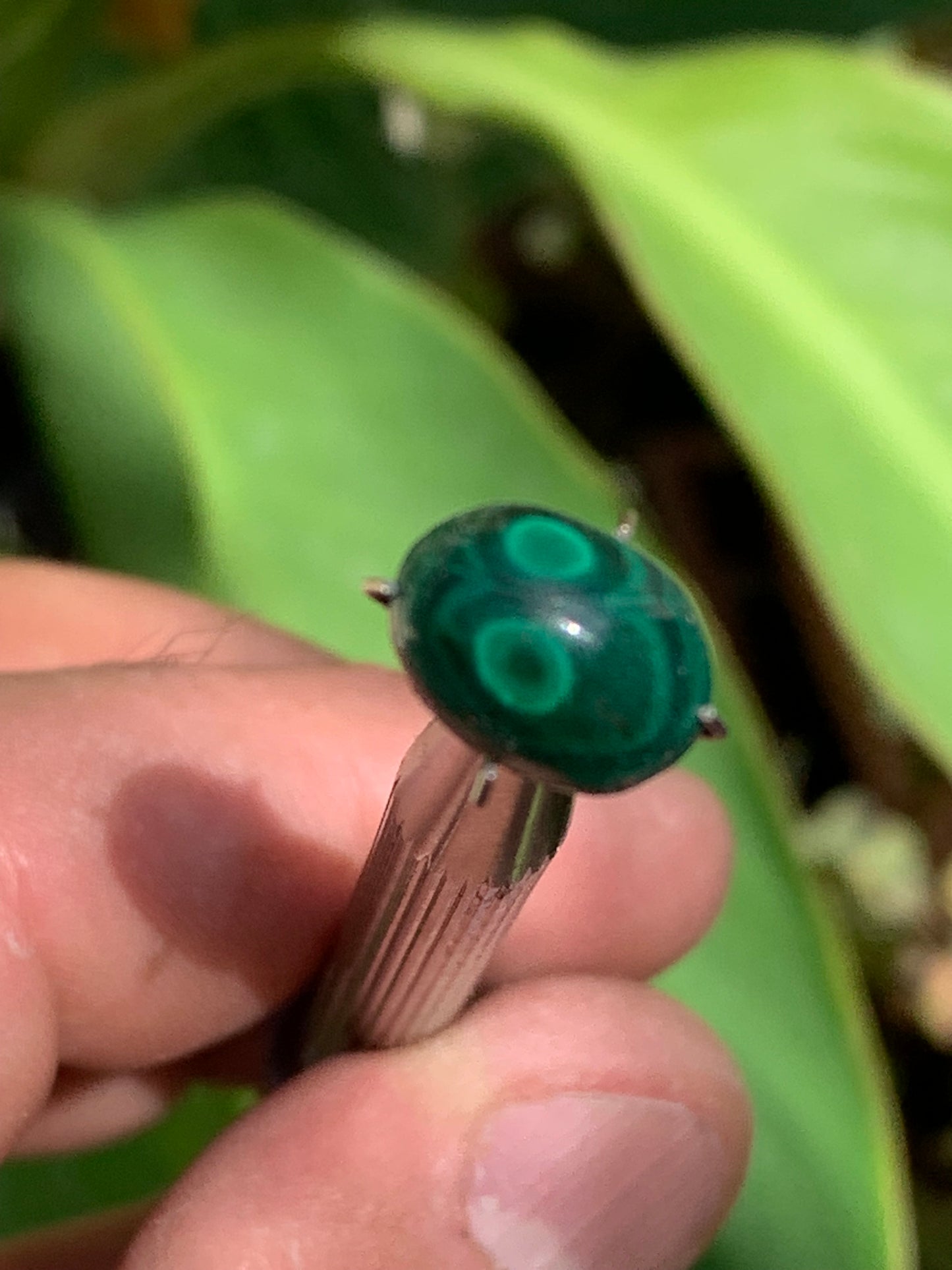 Malachite, cabochon de 12mm x9 x5 - 2,5 carats. Parfait en bijouterie, collection ,exposition...