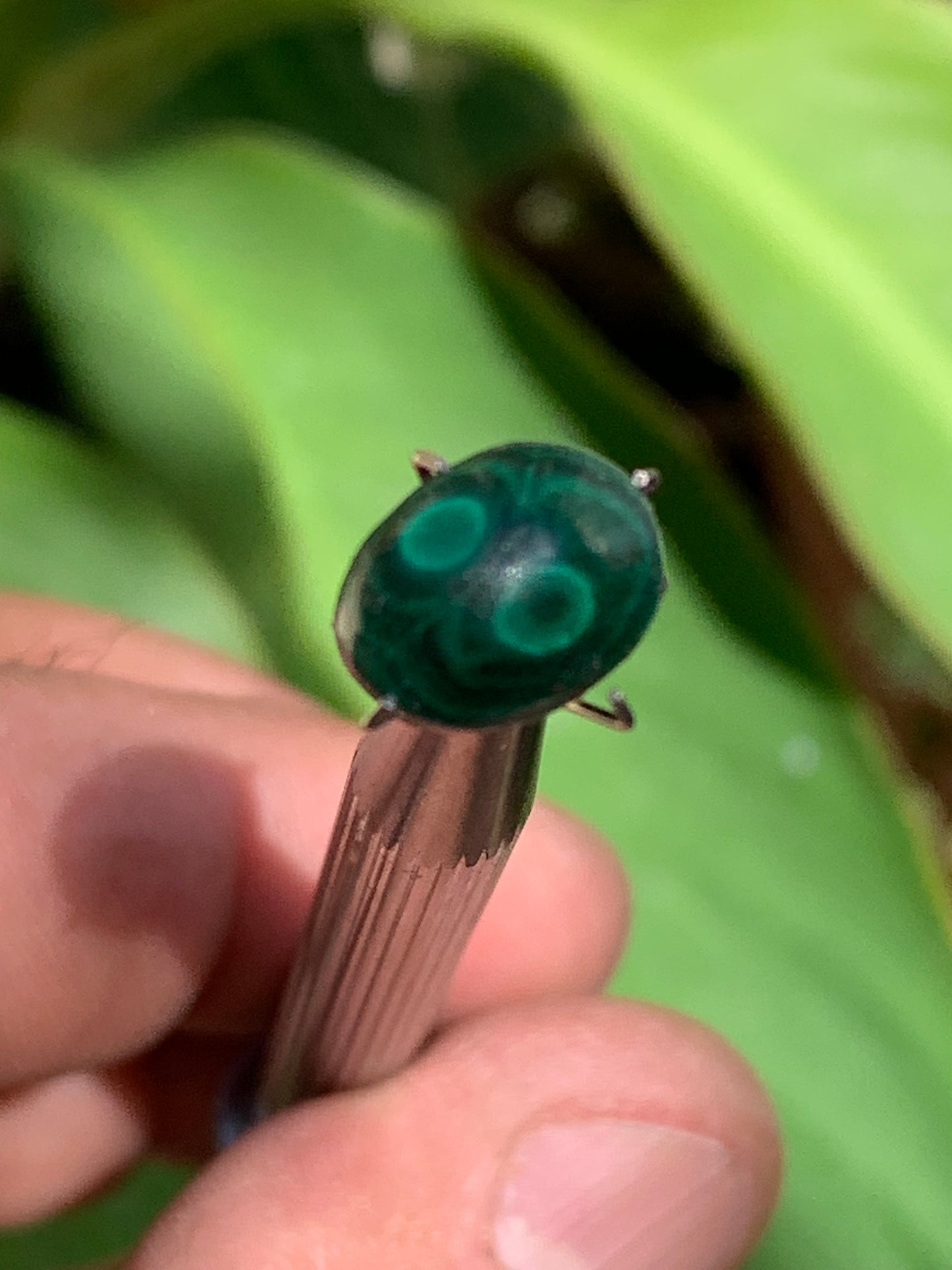 Malachite, cabochon de 12mm x9 x5 - 2,5 carats. Parfait en bijouterie, collection ,exposition...