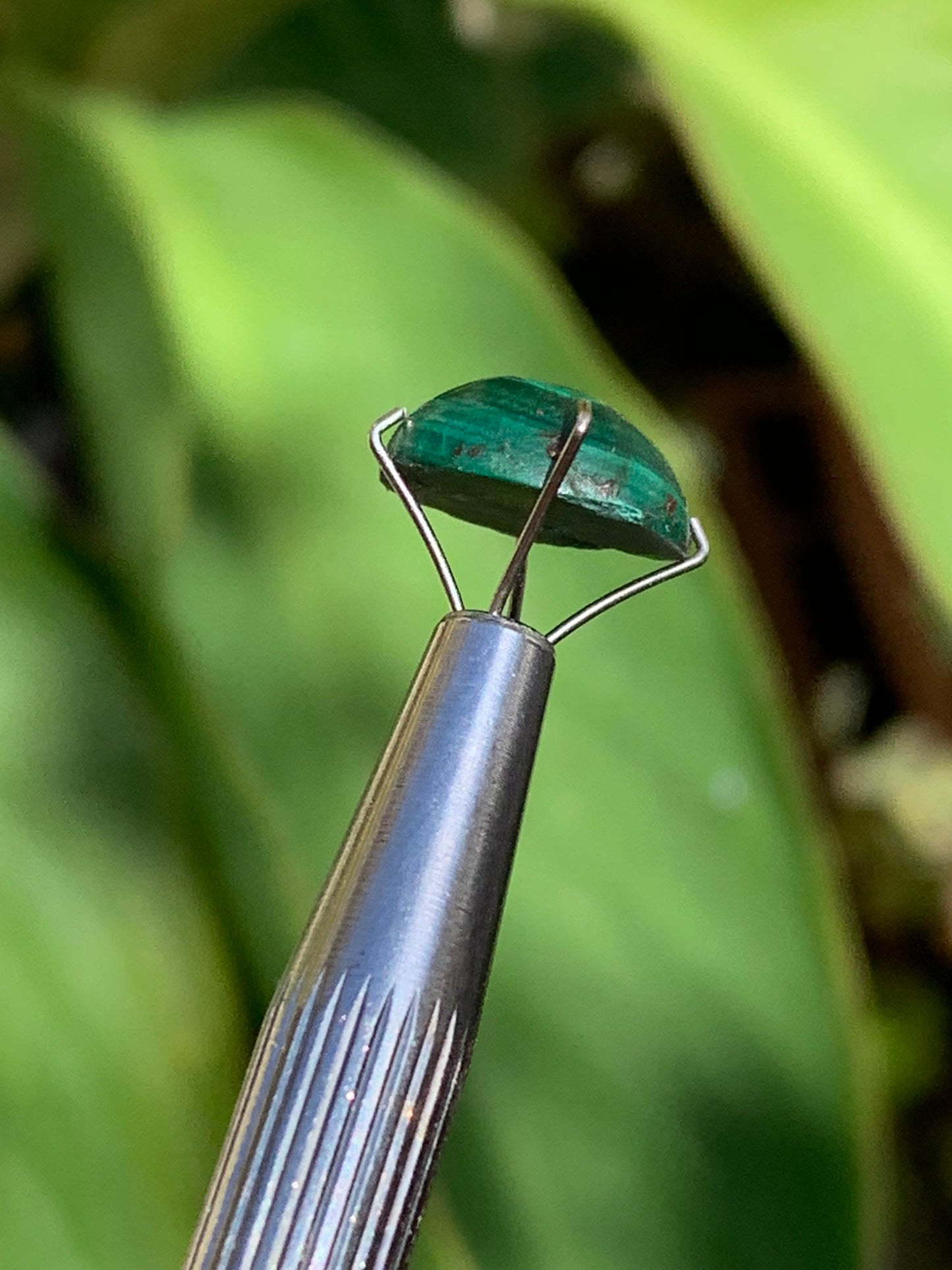 Malachite, cabochon de 12mm x9 x5 - 2,5 carats. Parfait en bijouterie, collection ,exposition...