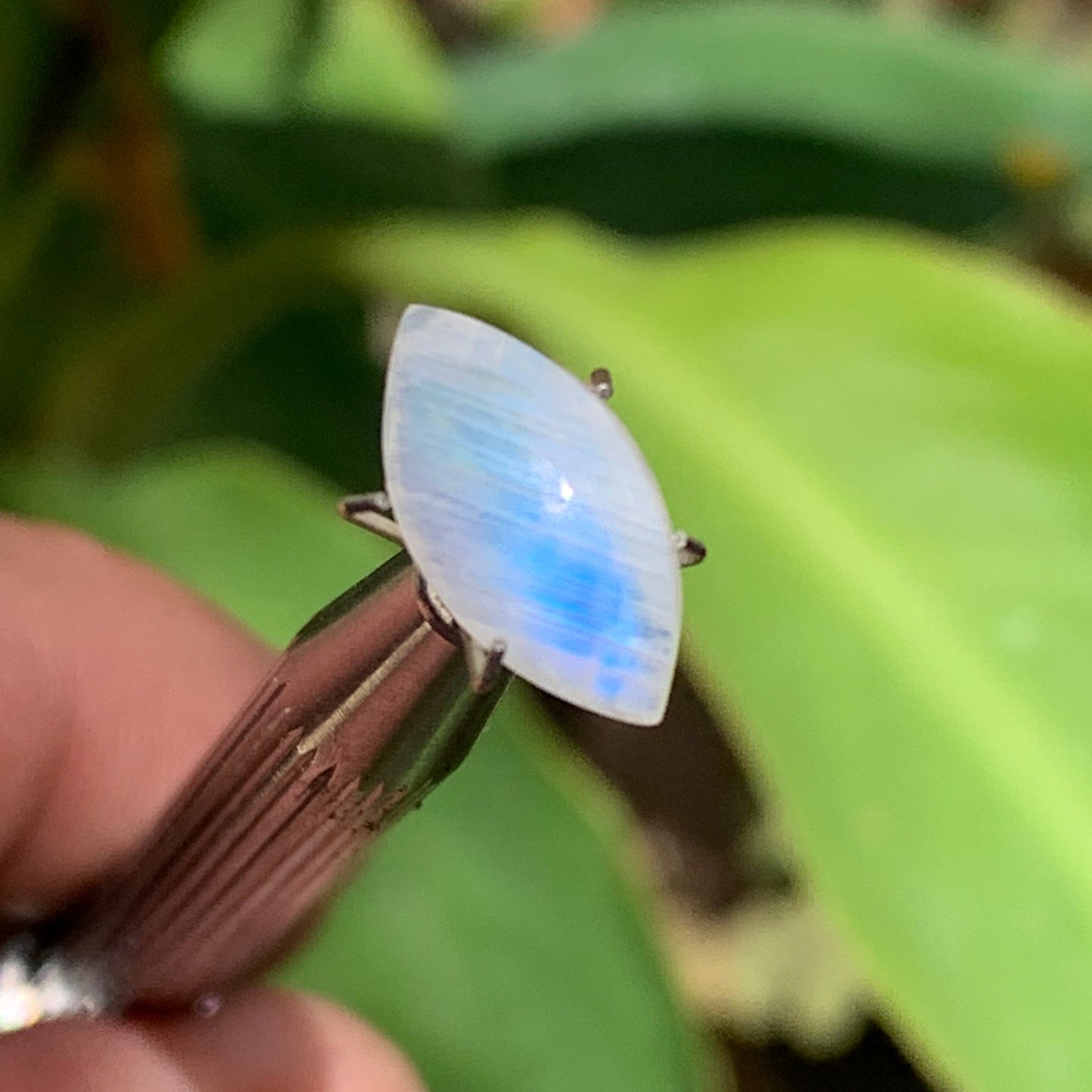 Pierre de lune blanche/ Adulaire - Cabochon de 14mm x7 x5 - 2,5 carats. Parfait en bijouterie, collection ,exposition...