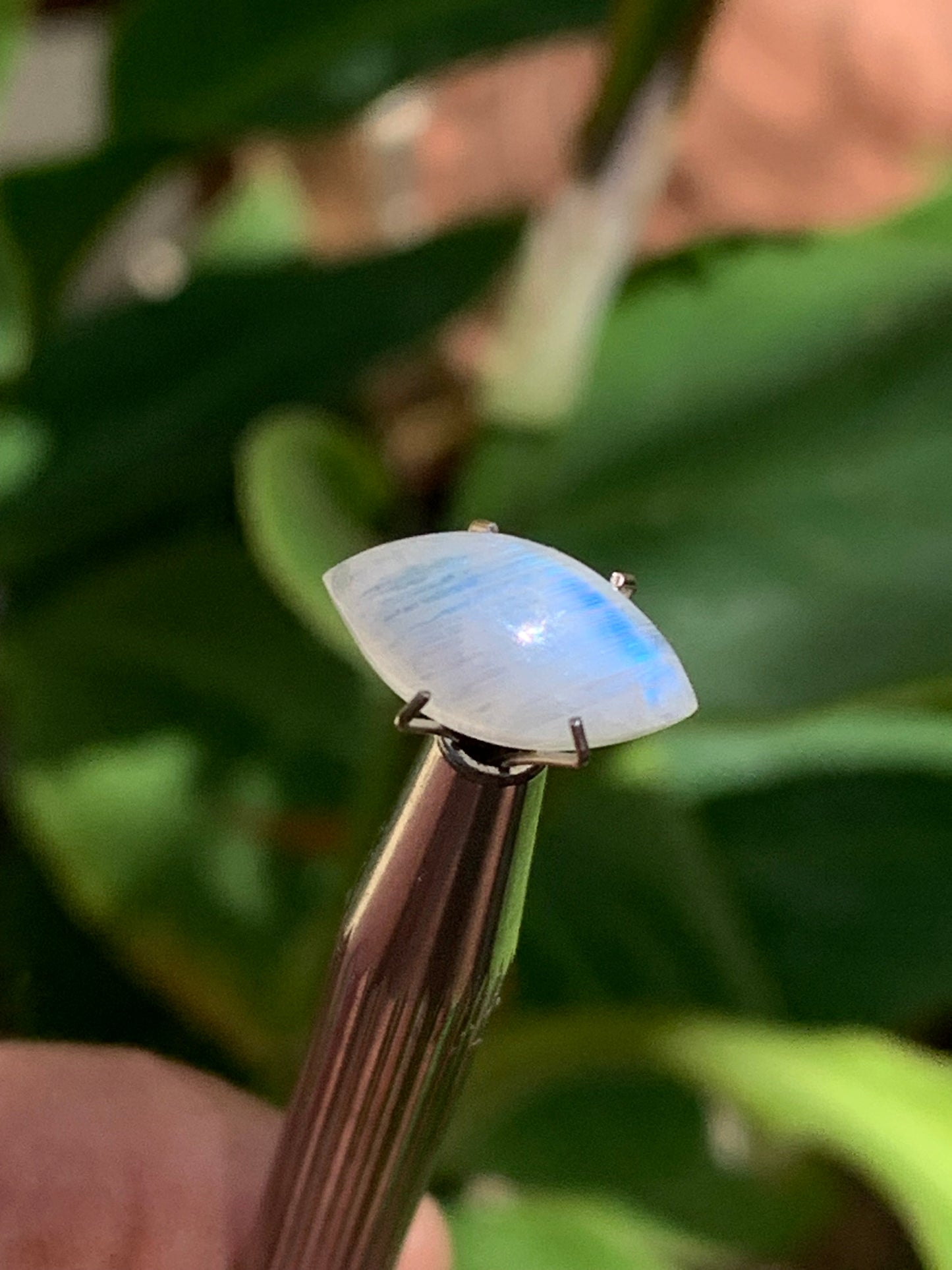 Pierre de lune blanche/ Adulaire - Cabochon de 14mm x7 x5 - 2,5 carats. Parfait en bijouterie, collection ,exposition...