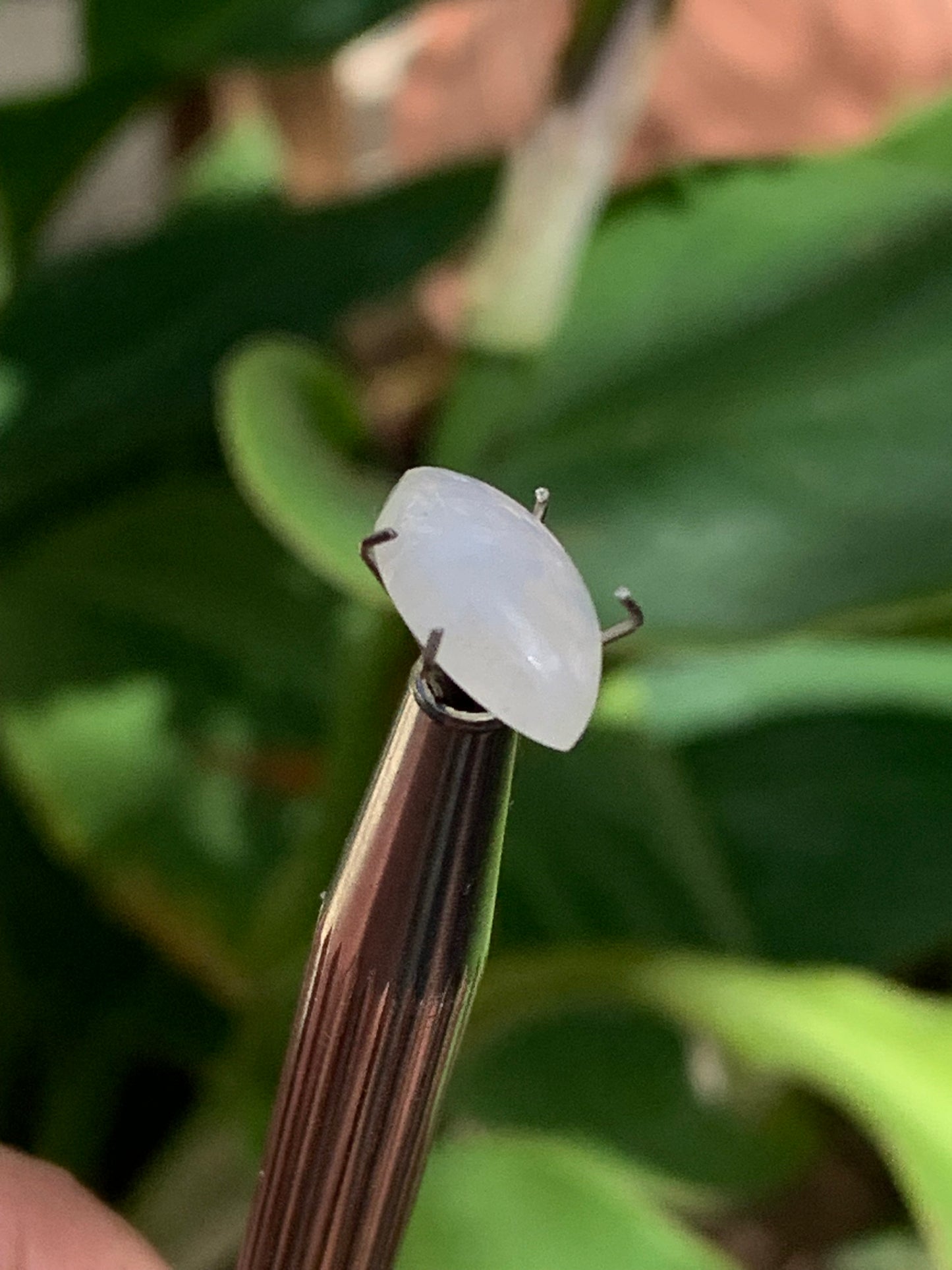 Pierre de lune blanche/ Adulaire - Cabochon de 14mm x7 x5 - 2,5 carats. Parfait en bijouterie, collection ,exposition...