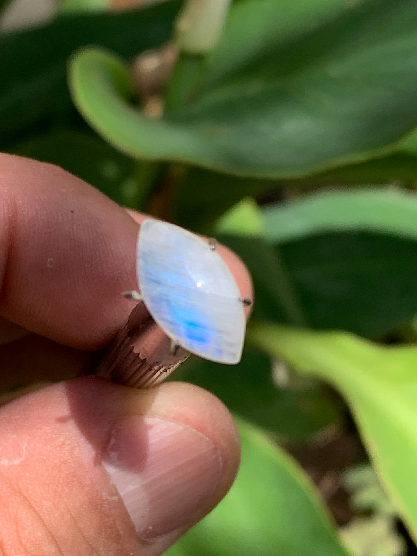 Pierre de lune blanche/ Adulaire - Cabochon de 14mm x7 x5 - 2,5 carats. Parfait en bijouterie, collection ,exposition...