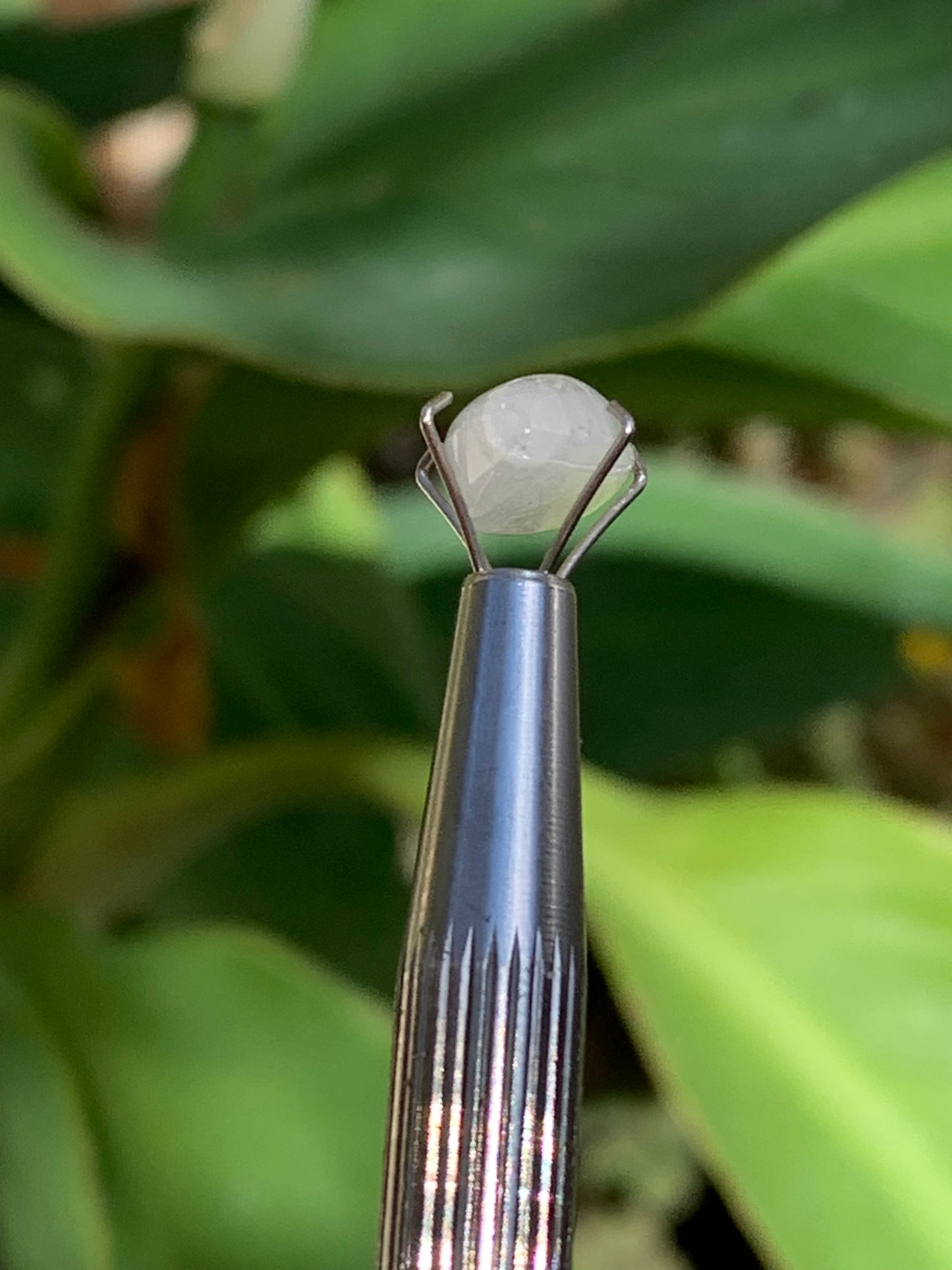 Pierre de lune blanche/ Adulaire - Cabochon de 14mm x7 x5 - 2,5 carats. Parfait en bijouterie, collection ,exposition...
