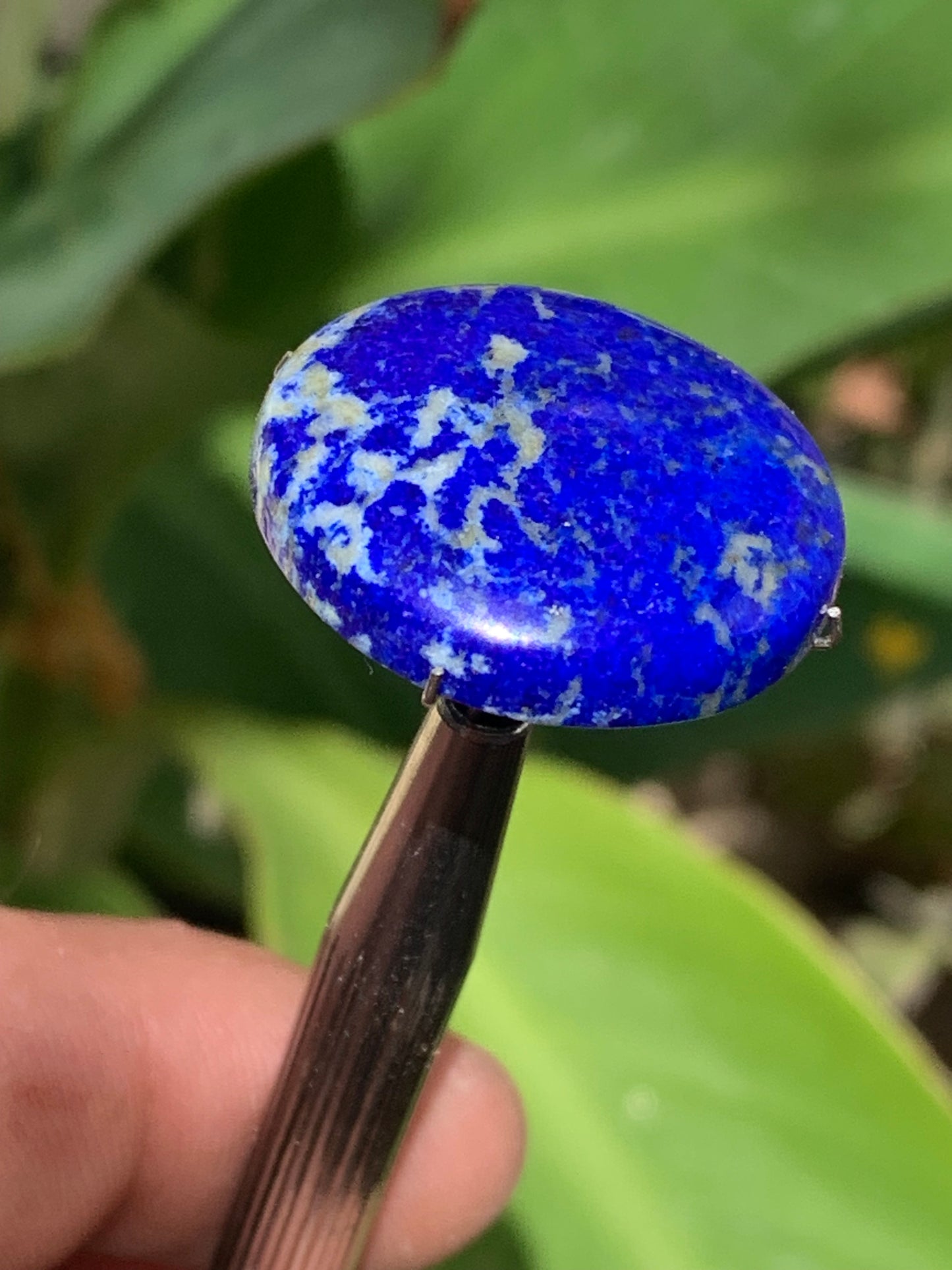 Lapis lazuli, cabochon de 25mm x25 x6 - 29,5 carats. Parfait en bijouterie, collection ,exposition...