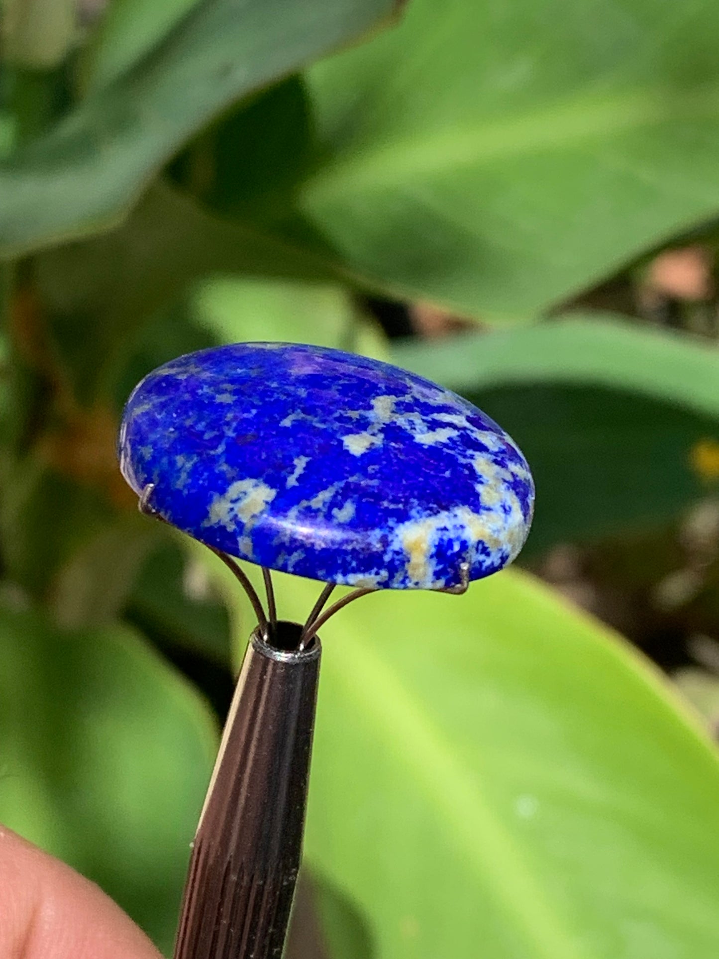 Lapis lazuli, cabochon de 25mm x25 x6 - 29,5 carats. Parfait en bijouterie, collection ,exposition...