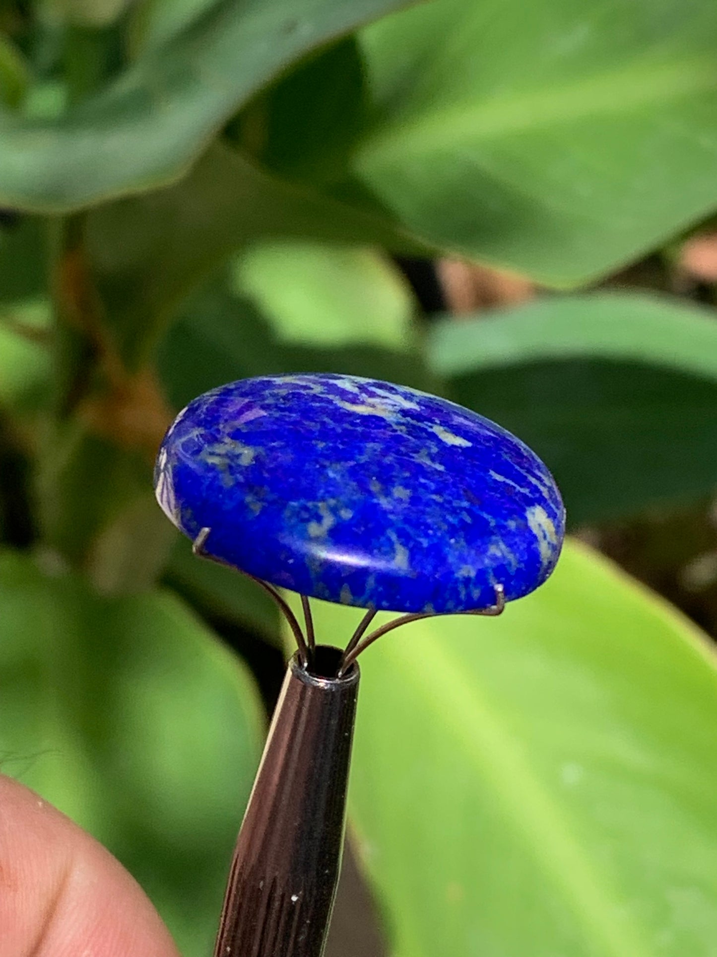 Lapis lazuli, cabochon de 25mm x25 x6 - 29,5 carats. Parfait en bijouterie, collection ,exposition...