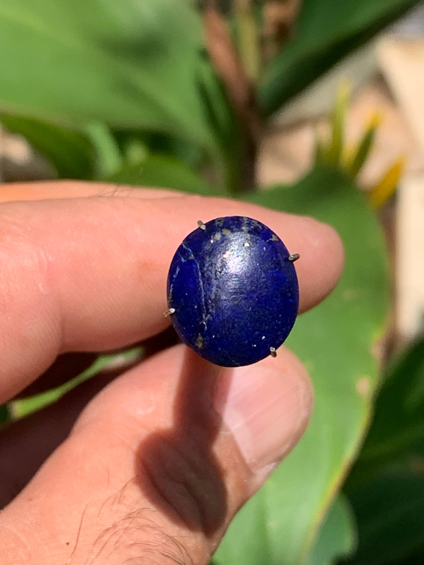 Lapis lazuli, cabochon de 15mm x13 x5 - 6,5 carats. Parfait en bijouterie, collection ,exposition...