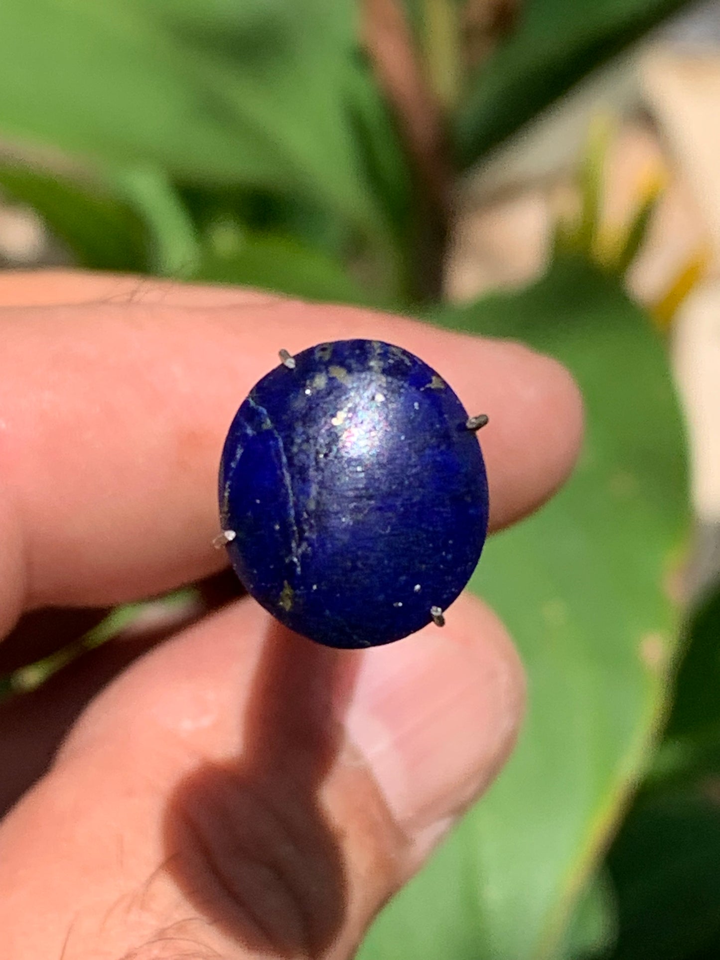 Lapis lazuli, cabochon de 15mm x13 x5 - 6,5 carats. Parfait en bijouterie, collection ,exposition...