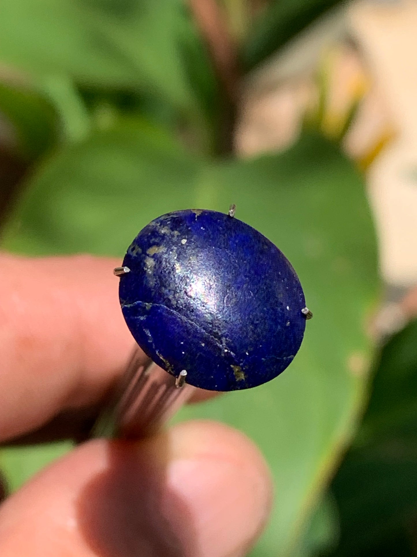 Lapis lazuli, cabochon de 15mm x13 x5 - 6,5 carats. Parfait en bijouterie, collection ,exposition...