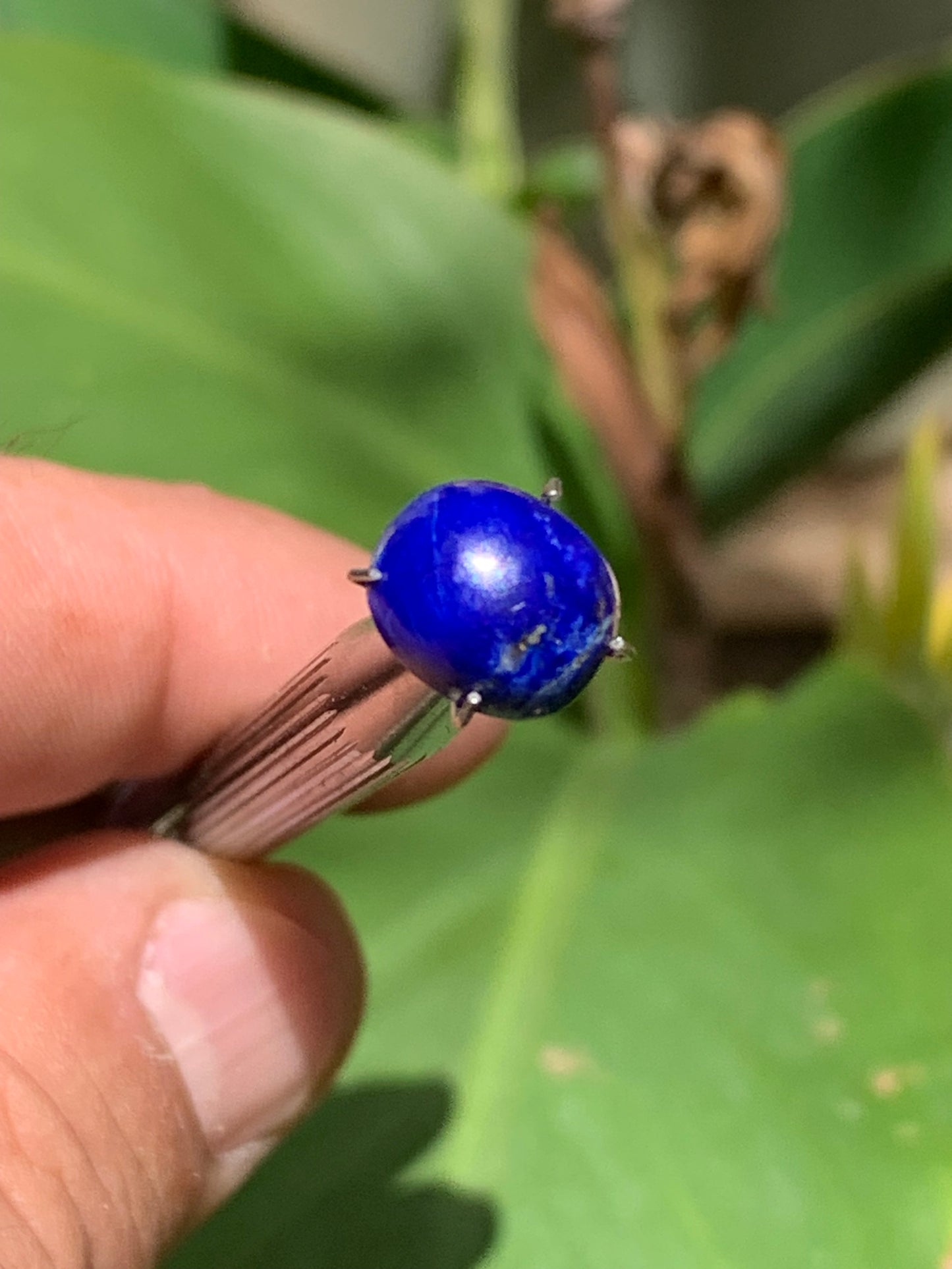 Lapis lazuli, cabochon de 10mm x9 x5 - 3,5 carats. Parfait en bijouterie, collection ,exposition...