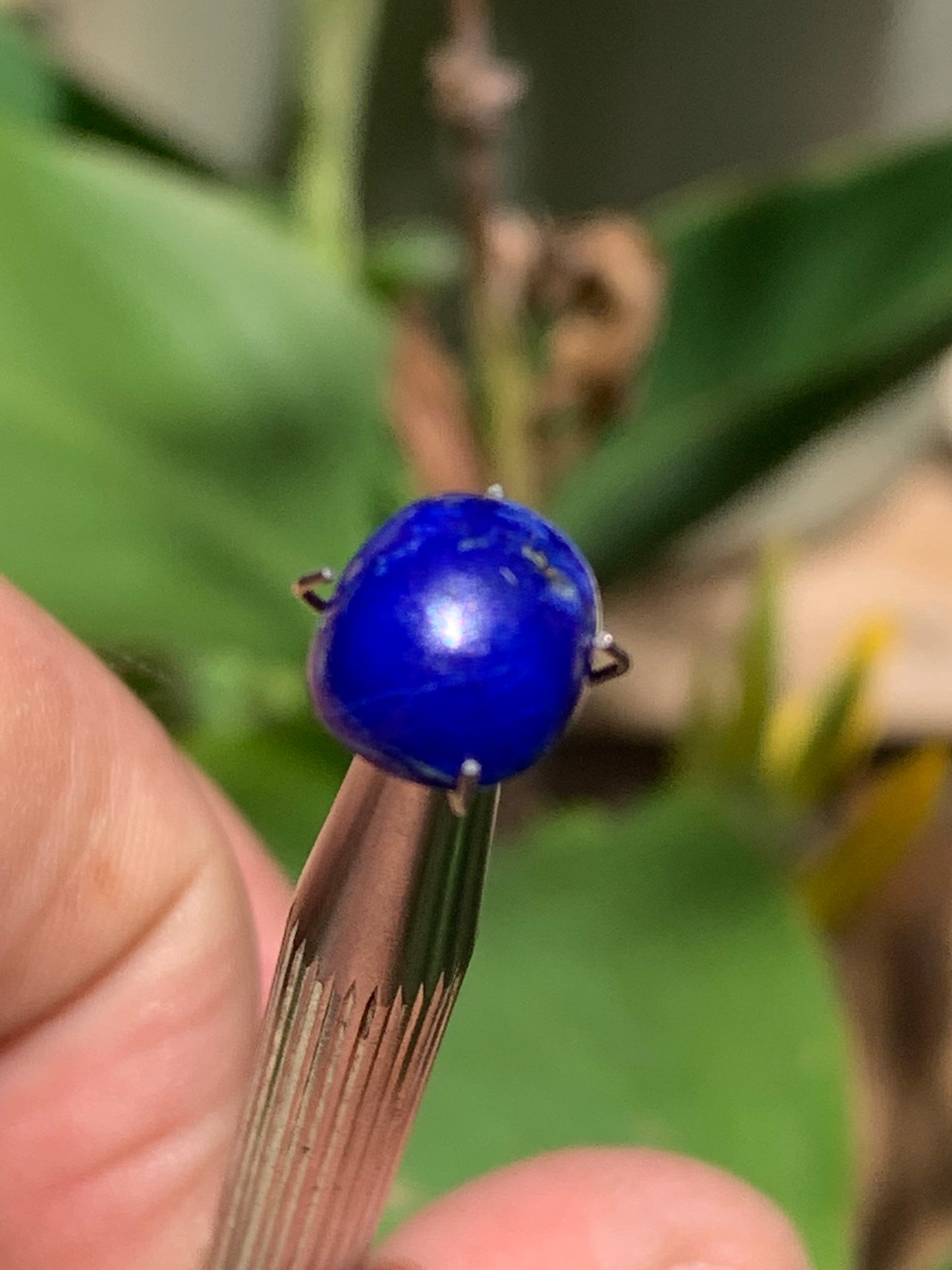 Lapis lazuli, cabochon de 10mm x9 x5 - 3,5 carats. Parfait en bijouterie, collection ,exposition...