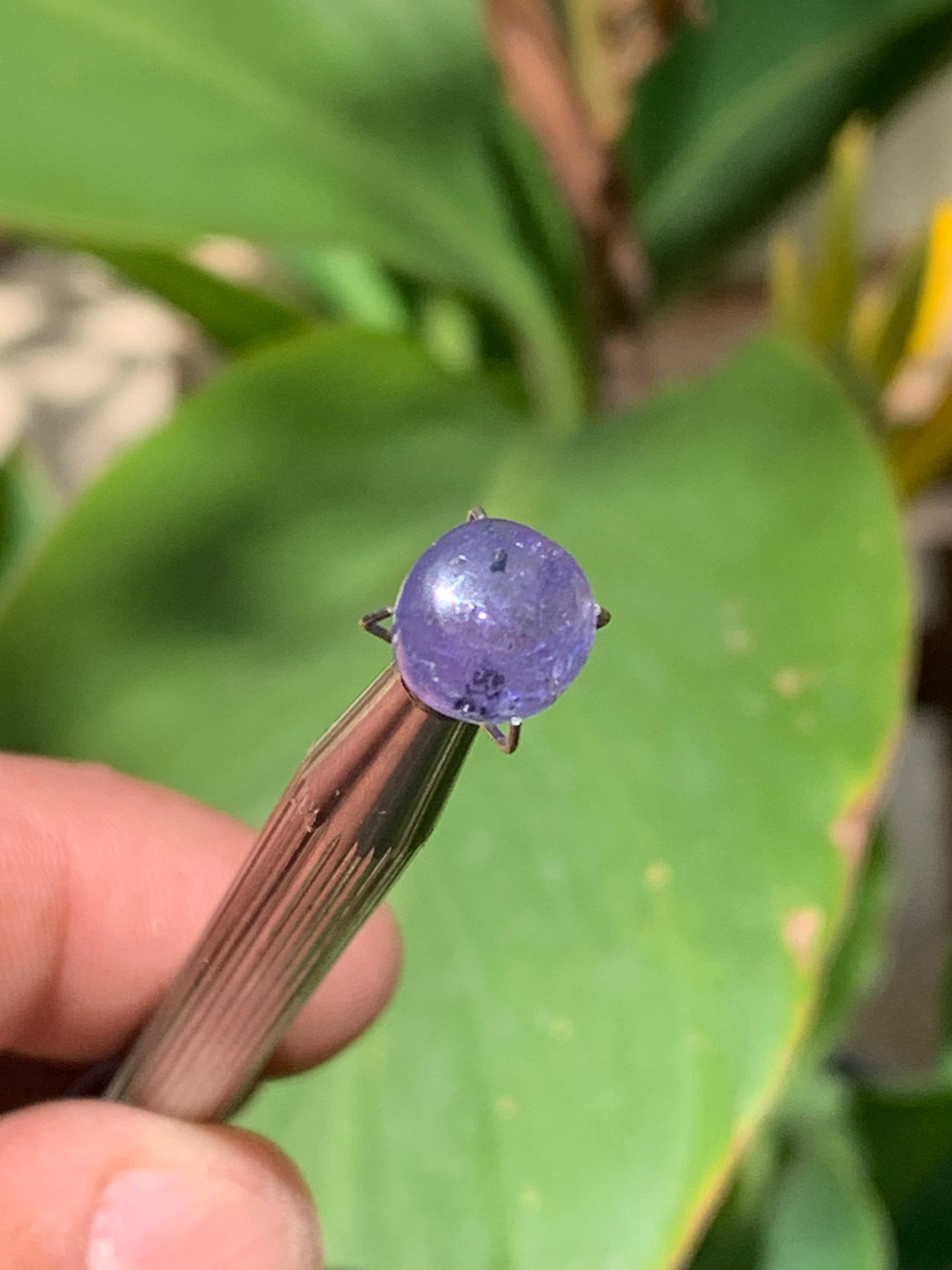 Tanzanite, 10mm diameter cabochon x 5 - 3.5 carats. Perfect for jewelry, collections, exhibitions...