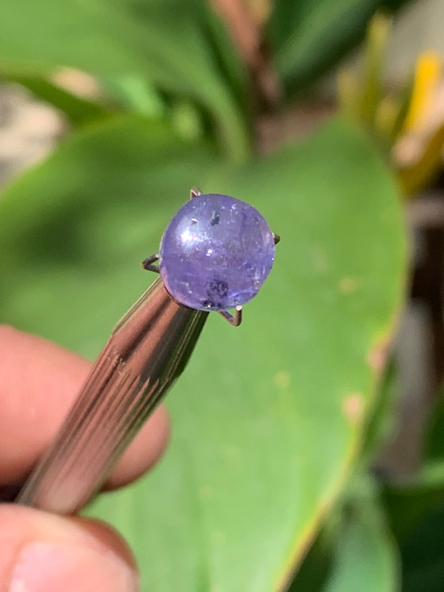 Tanzanite, 10mm diameter cabochon x 5 - 3.5 carats. Perfect for jewelry, collections, exhibitions...