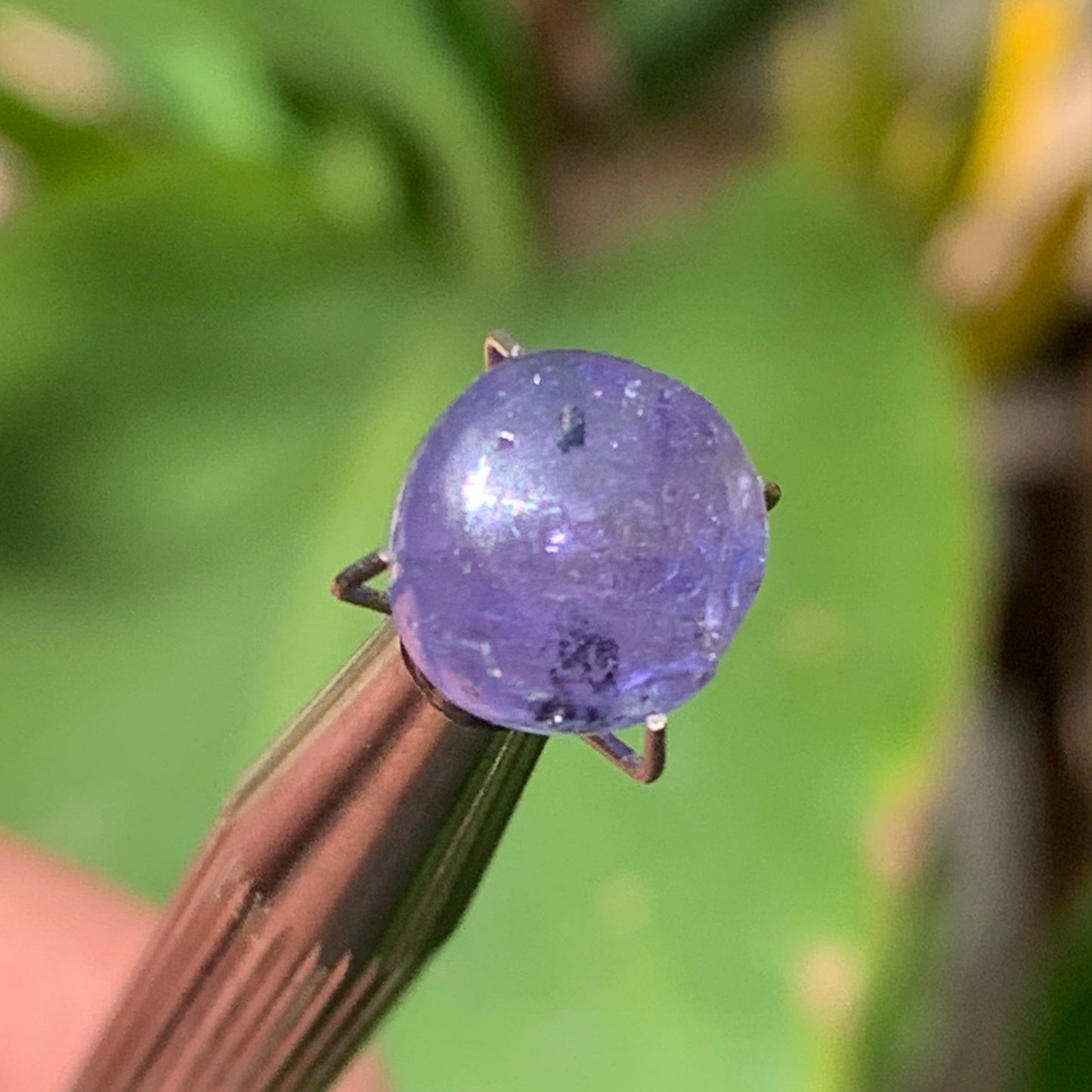 Tanzanite, 10mm diameter cabochon x 5 - 3.5 carats. Perfect for jewelry, collections, exhibitions...