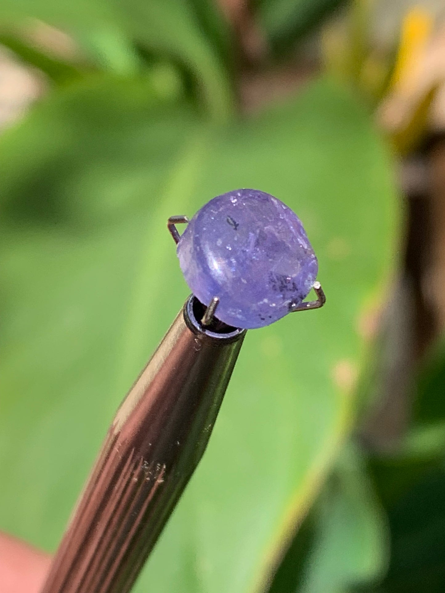 Tanzanite, 10mm diameter cabochon x 5 - 3.5 carats. Perfect for jewelry, collections, exhibitions...