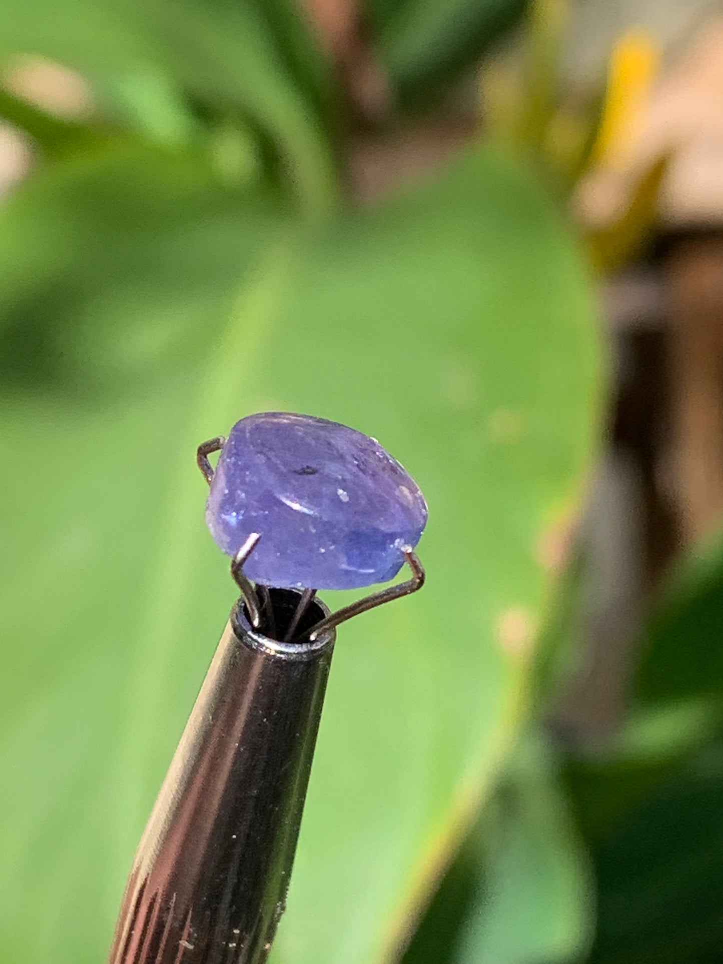 Tanzanite, 10mm diameter cabochon x 5 - 3.5 carats. Perfect for jewelry, collections, exhibitions...