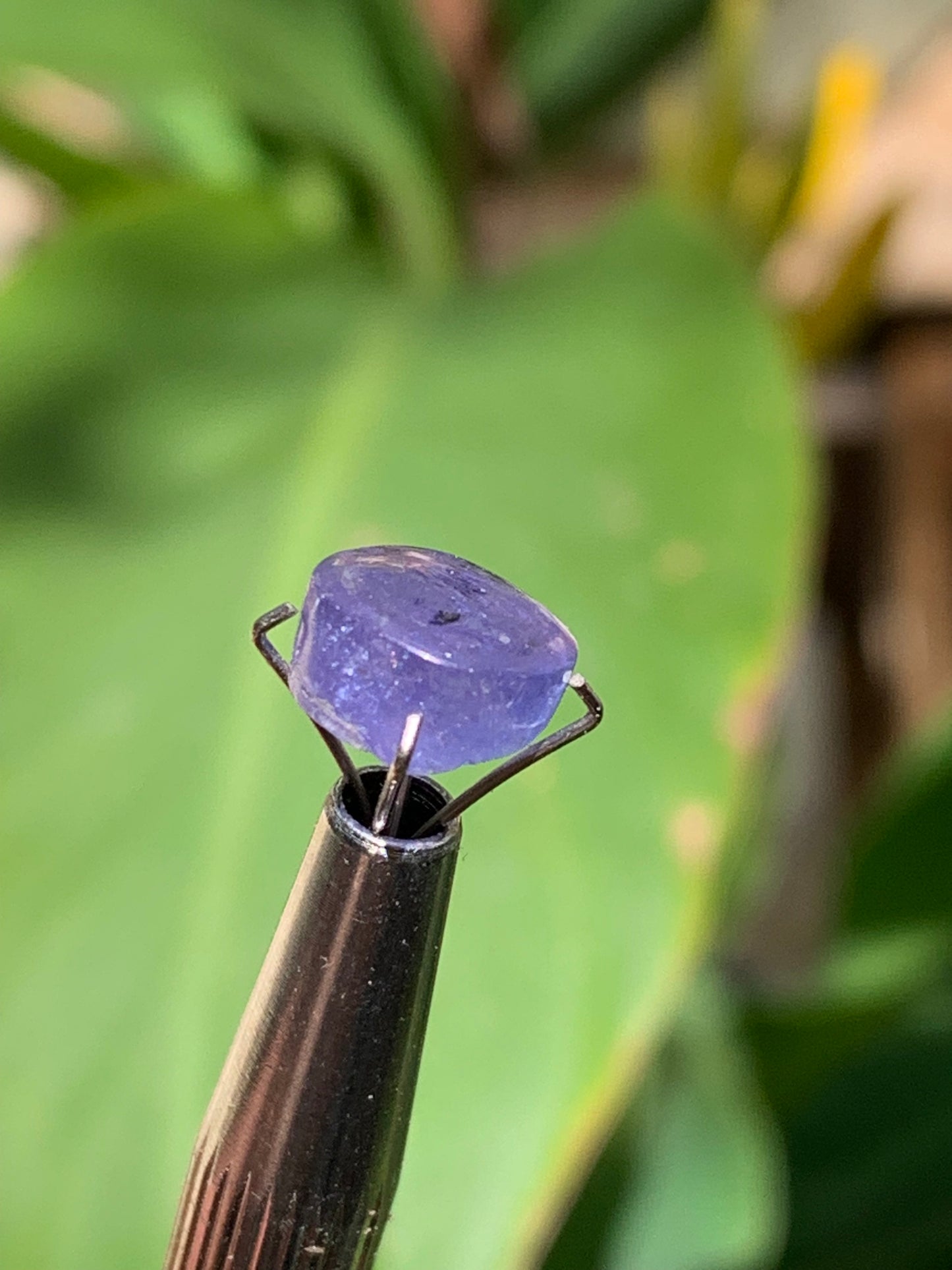 Tanzanite, 10mm diameter cabochon x 5 - 3.5 carats. Perfect for jewelry, collections, exhibitions...