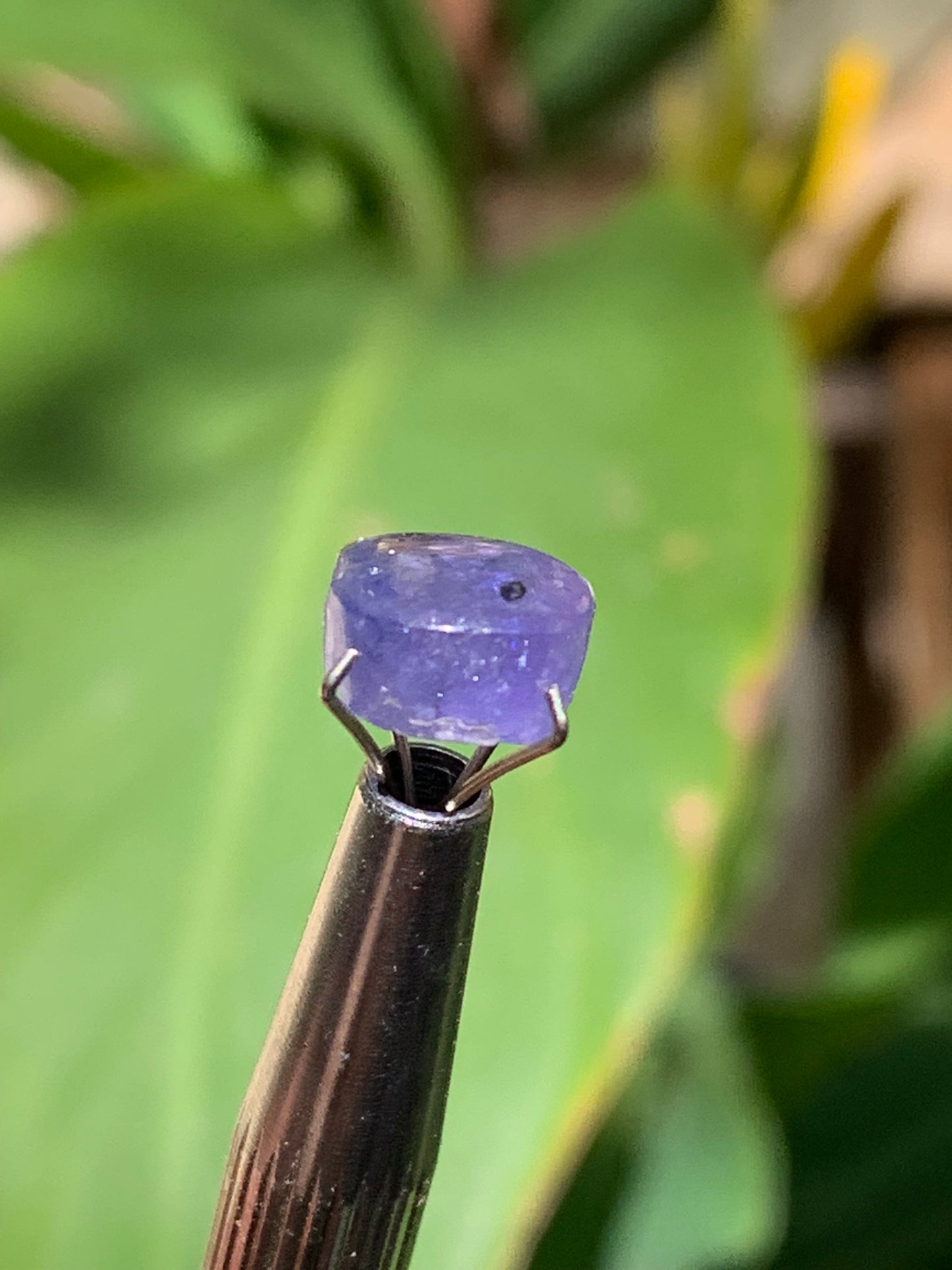Tanzanite, 10mm diameter cabochon x 5 - 3.5 carats. Perfect for jewelry, collections, exhibitions...