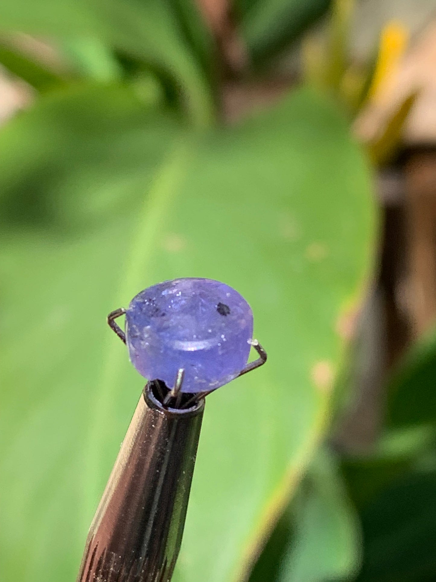 Tanzanite, 10mm diameter cabochon x 5 - 3.5 carats. Perfect for jewelry, collections, exhibitions...