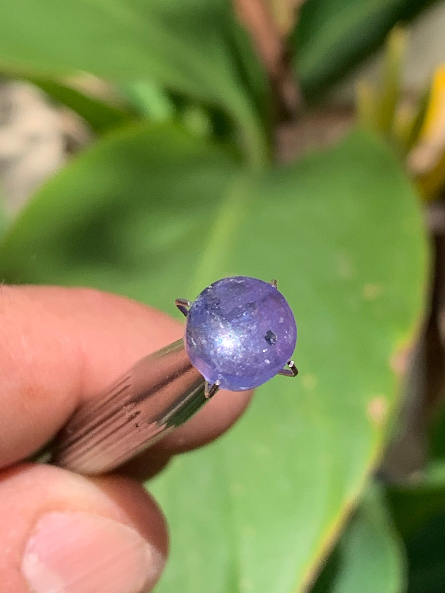 Tanzanite, 10mm diameter cabochon x 5 - 3.5 carats. Perfect for jewelry, collections, exhibitions...