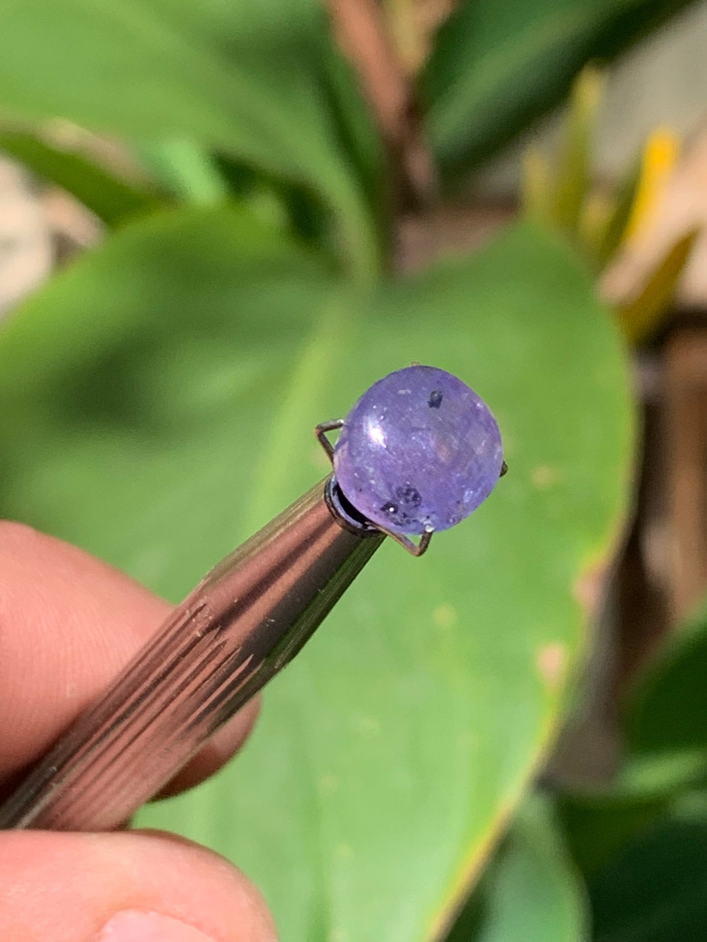Tanzanite, 10mm diameter cabochon x 5 - 3.5 carats. Perfect for jewelry, collections, exhibitions...