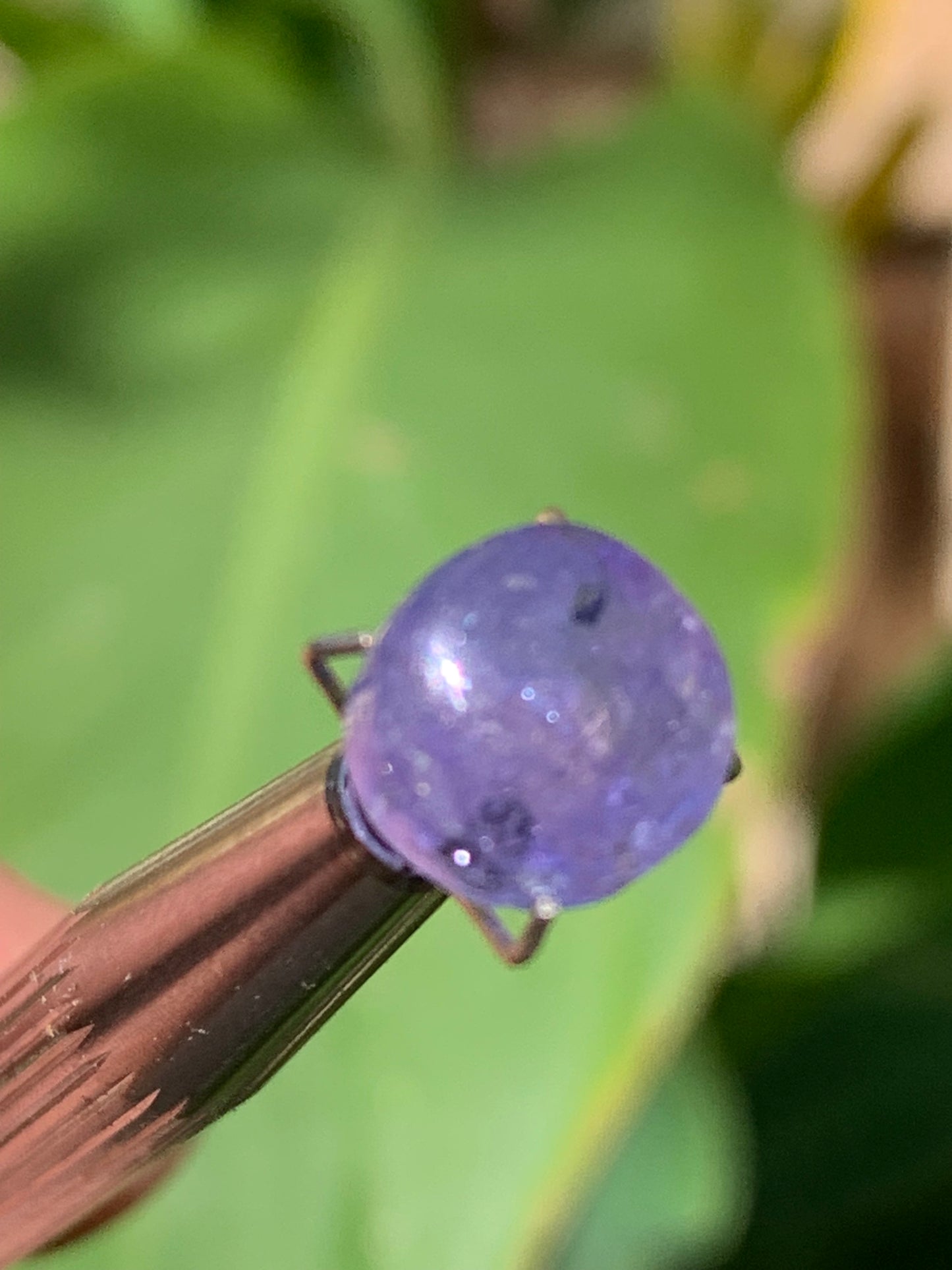 Tanzanite, 10mm diameter cabochon x 5 - 3.5 carats. Perfect for jewelry, collections, exhibitions...