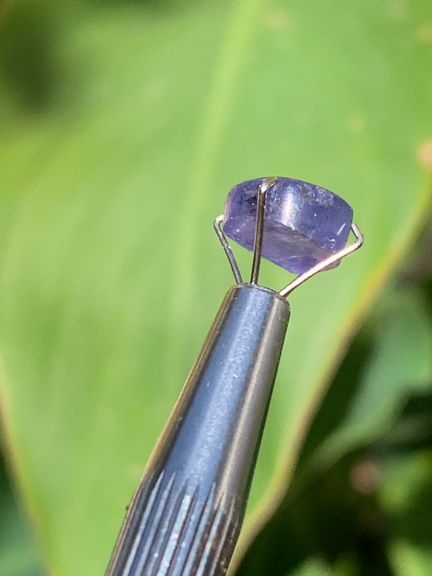 Tanzanite, 10mm diameter cabochon x 5 - 3.5 carats. Perfect for jewelry, collections, exhibitions...