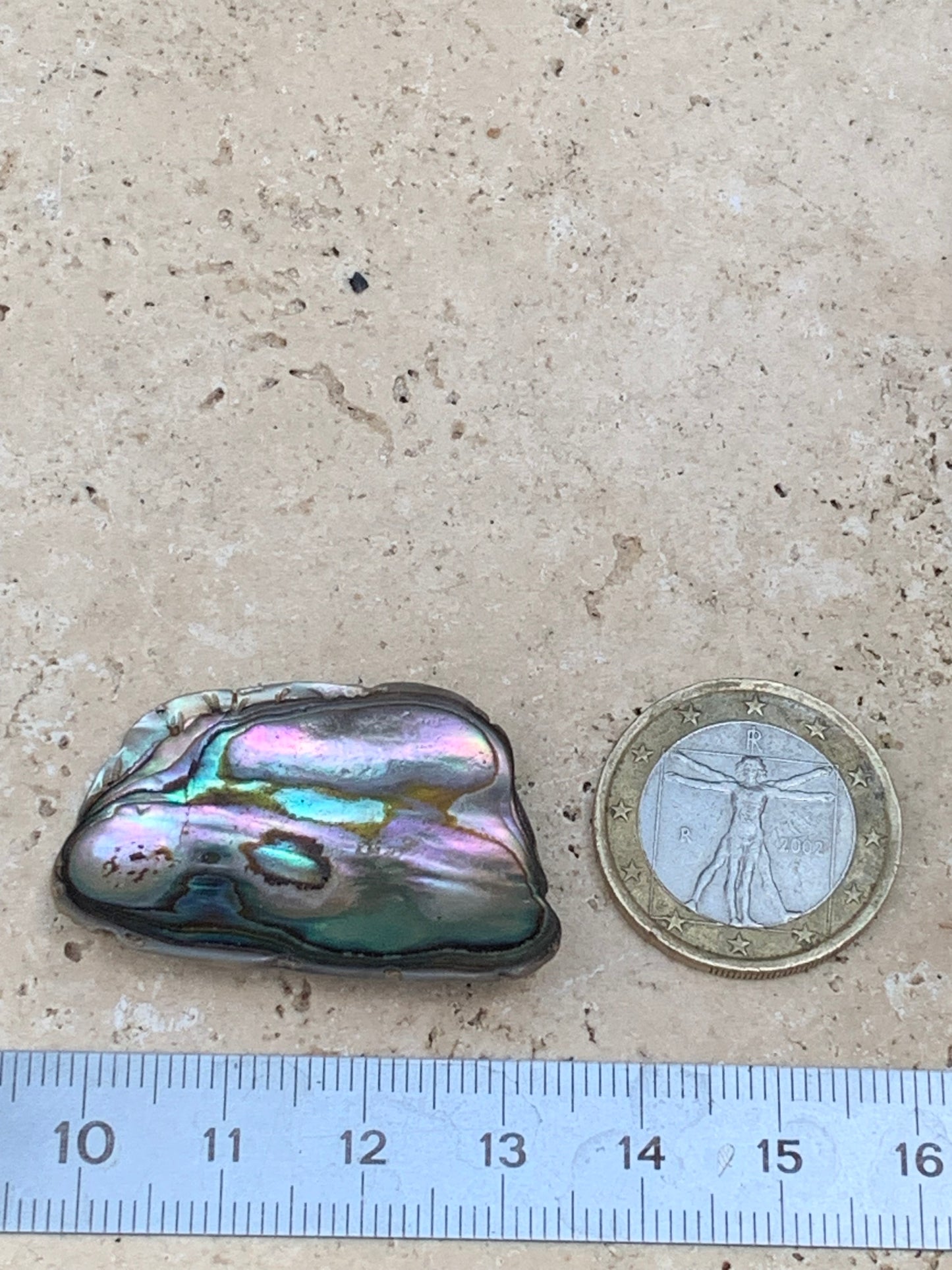 Nacre, pièce de 38mm x24 x3 - 3,5 grammes. Parfait en bijouterie, collection ,exposition...