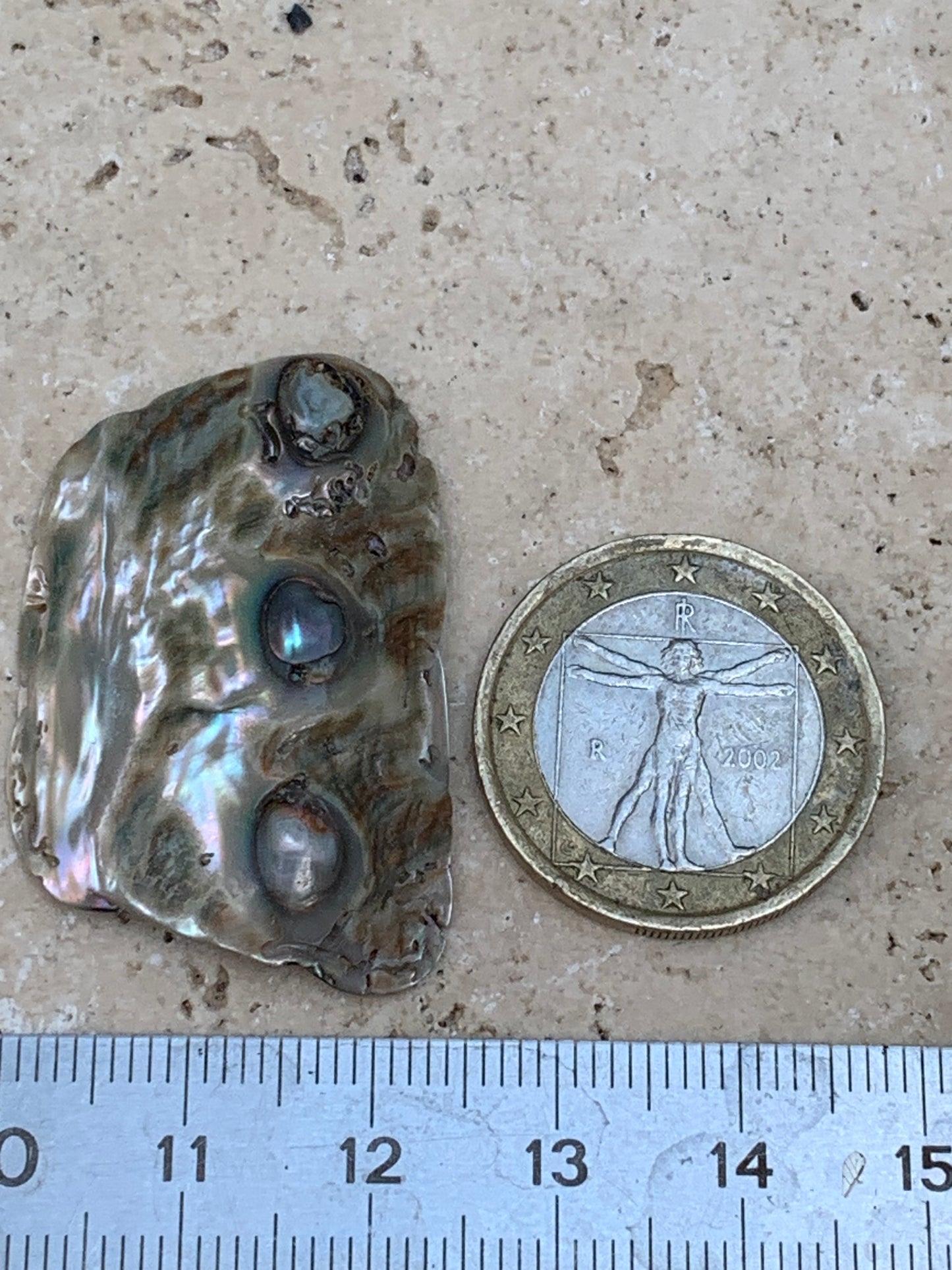 Nacre, pièce de 38mm x24 x3 - 3,5 grammes. Parfait en bijouterie, collection ,exposition...