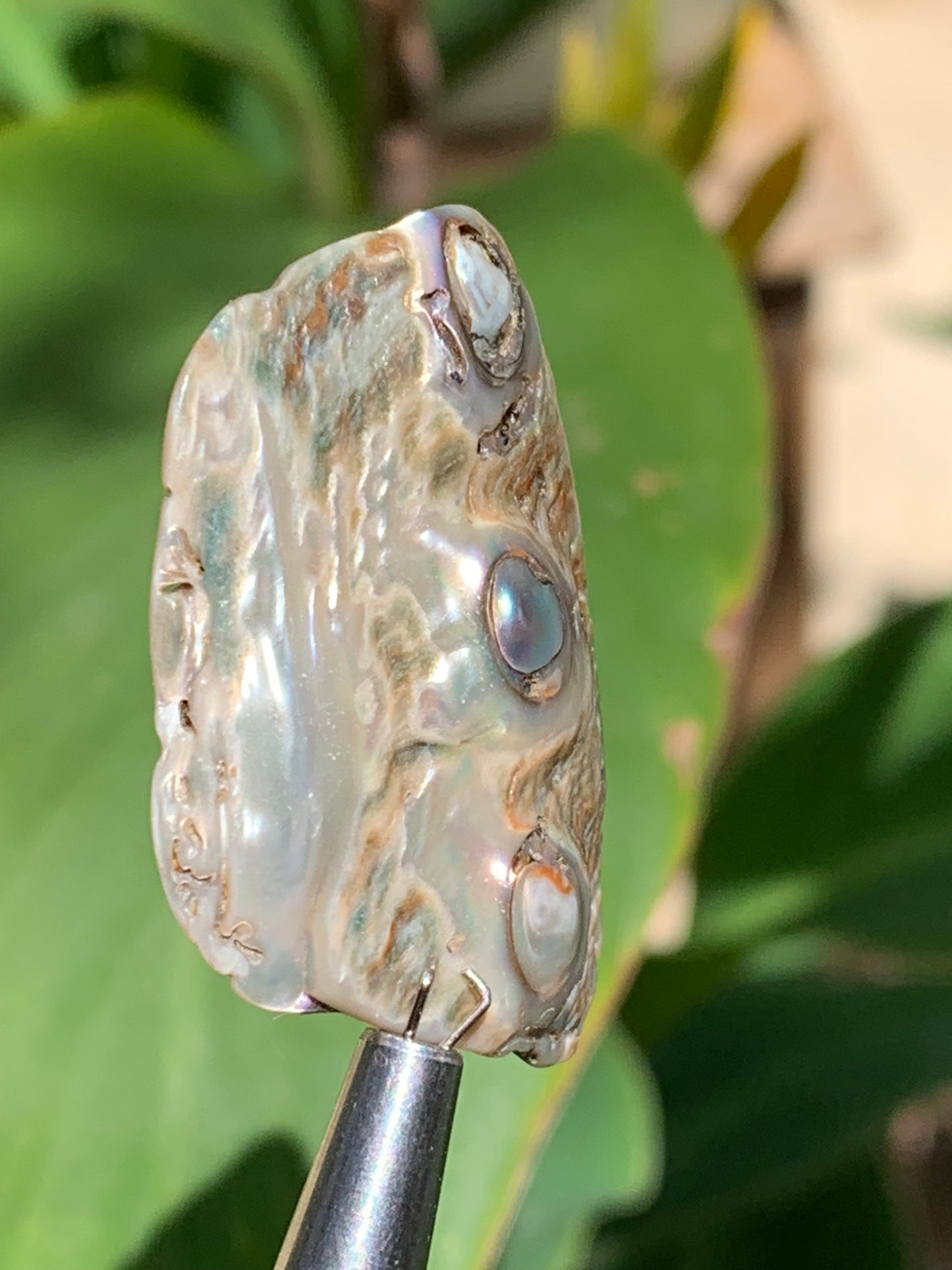 Nacre, pièce de 38mm x24 x3 - 3,5 grammes. Parfait en bijouterie, collection ,exposition...