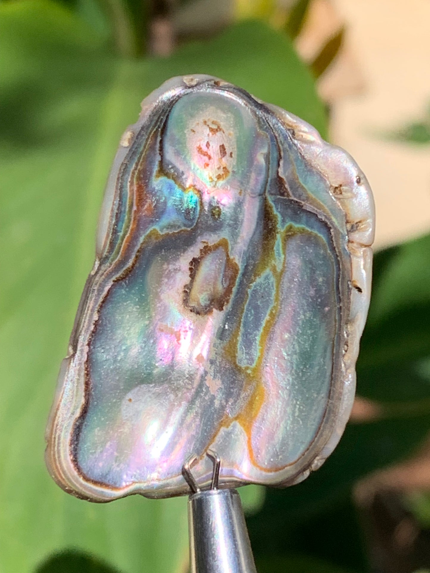 Nacre, pièce de 38mm x24 x3 - 3,5 grammes. Parfait en bijouterie, collection ,exposition...