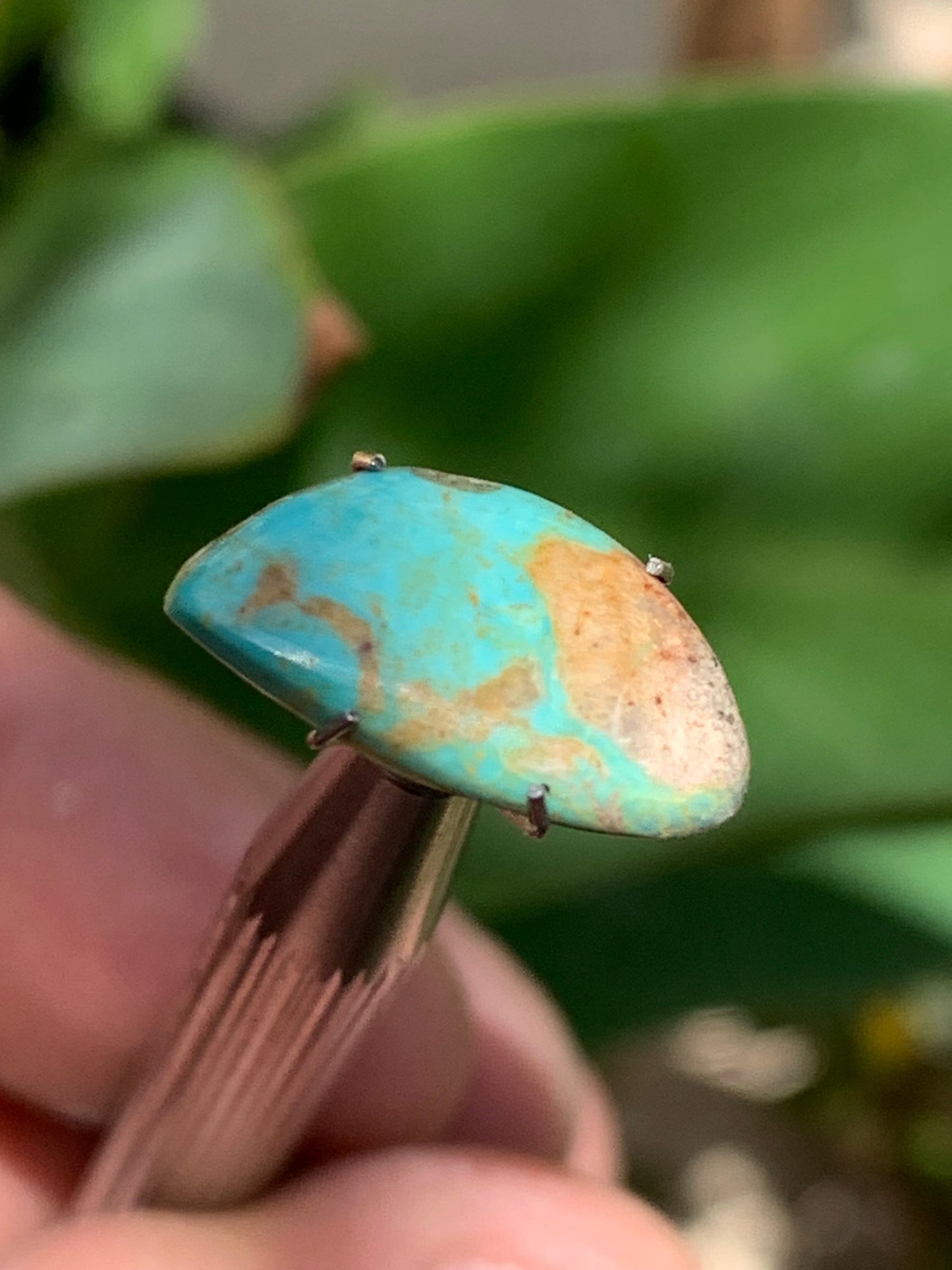 Turquoise, cabochon de 17mm x10 x2 - 2 carats. Parfait en bijouterie, collection ,exposition...