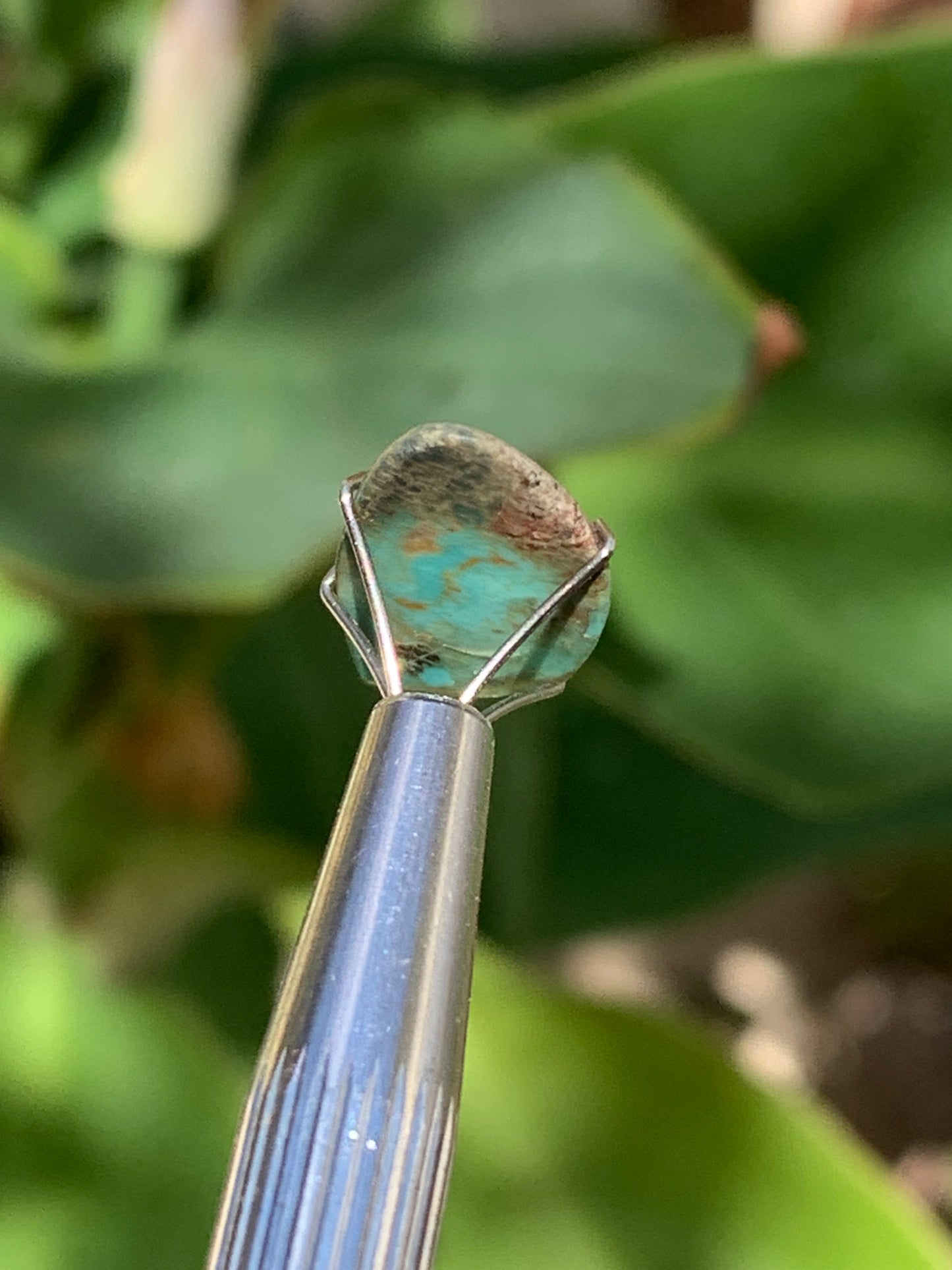 Turquoise, cabochon de 17mm x10 x2 - 2 carats. Parfait en bijouterie, collection ,exposition...