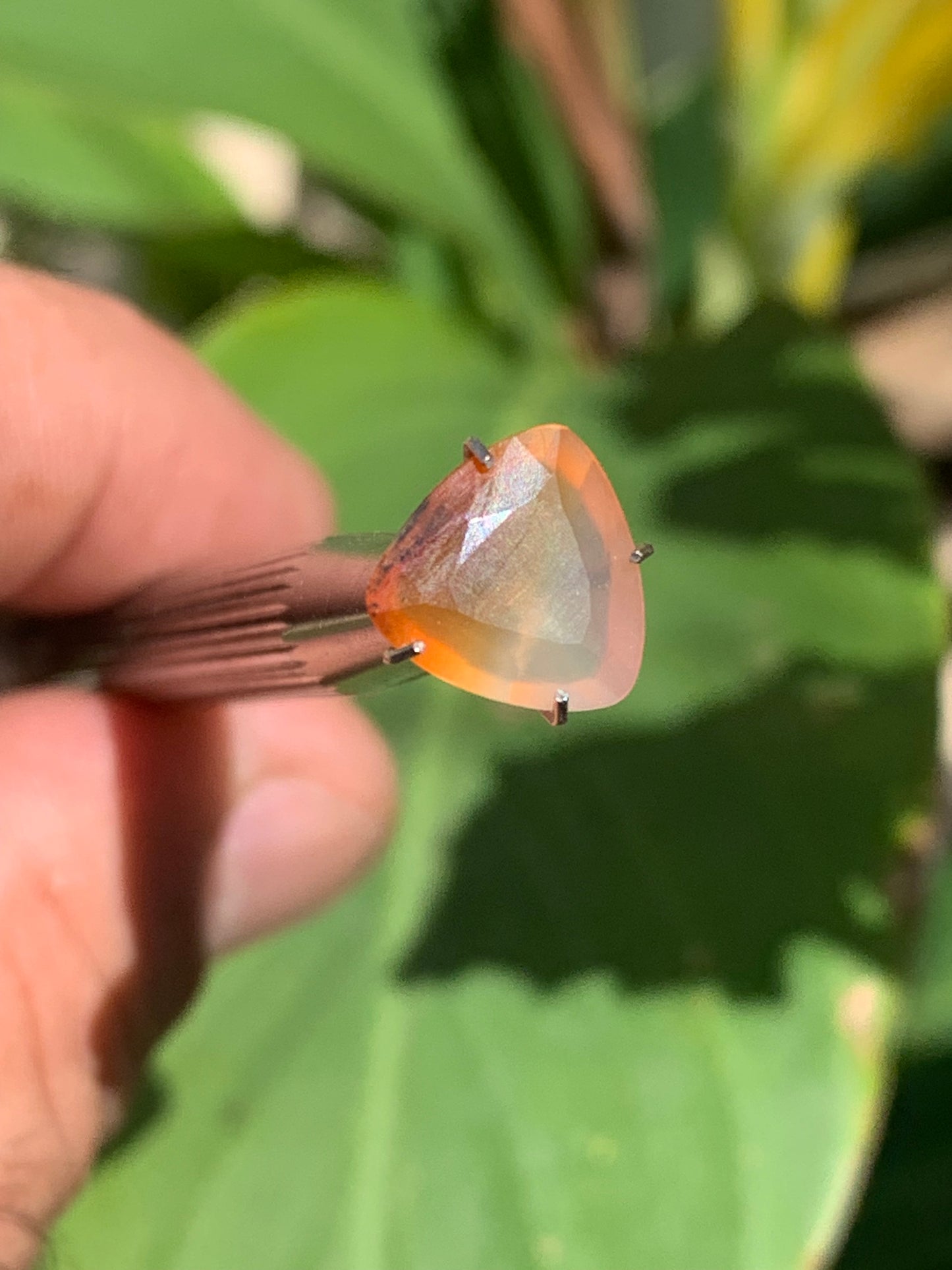 Cornaline, pierre fine taillée de 10mm x10 x4 - 2,5 carats. Parfait en bijouterie, collection ,exposition...