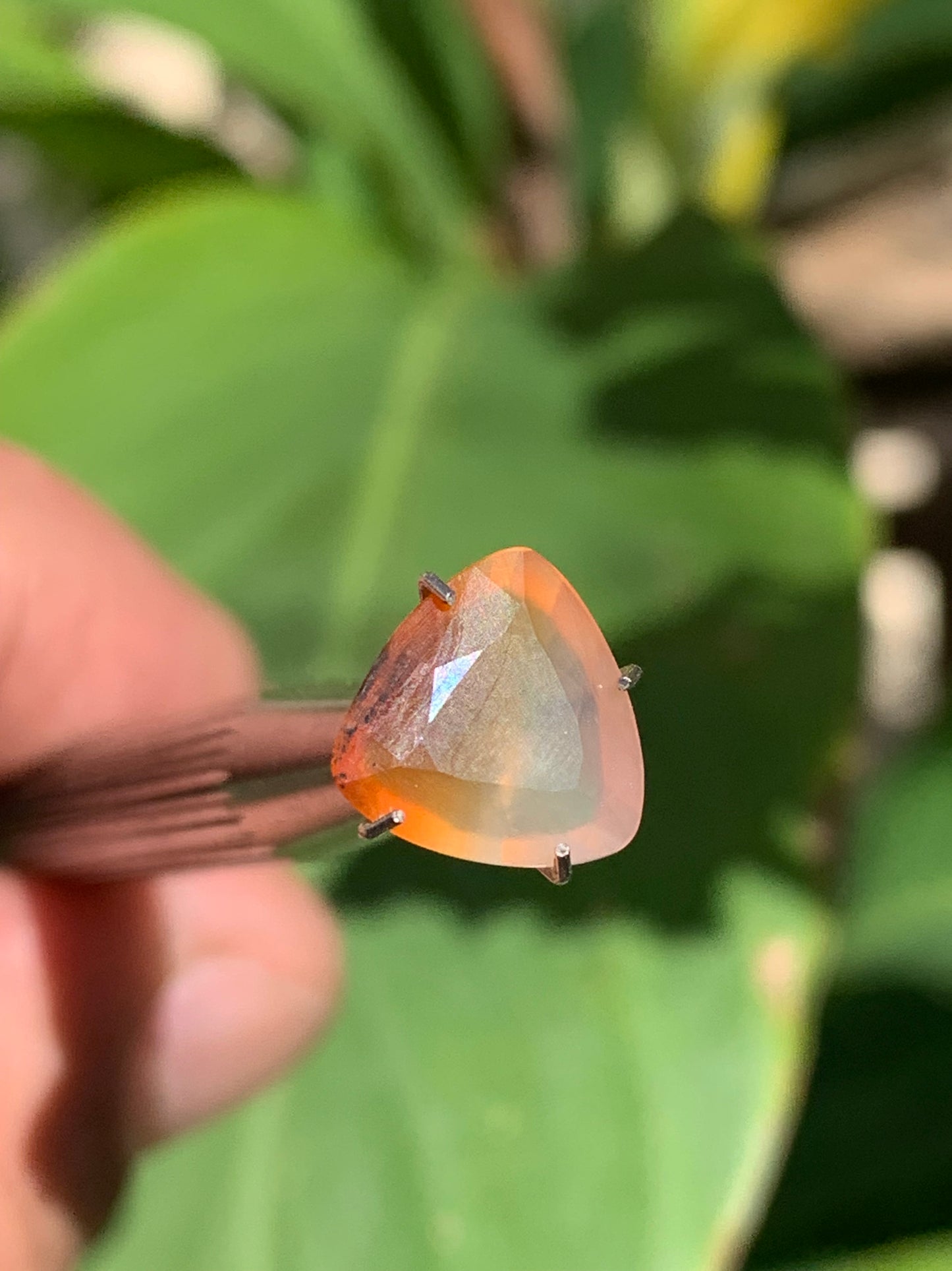 Cornaline, pierre fine taillée de 10mm x10 x4 - 2,5 carats. Parfait en bijouterie, collection ,exposition...