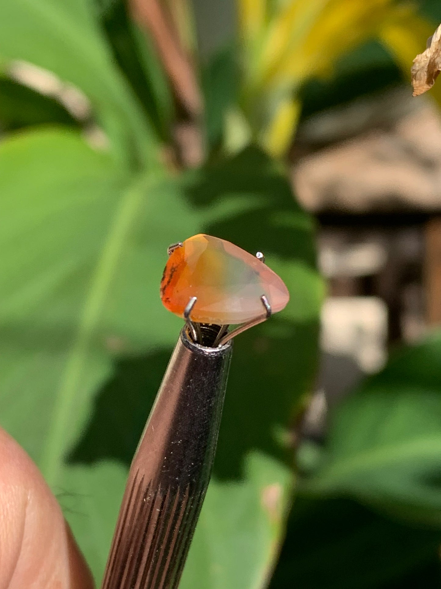 Cornaline, pierre fine taillée de 10mm x10 x4 - 2,5 carats. Parfait en bijouterie, collection ,exposition...